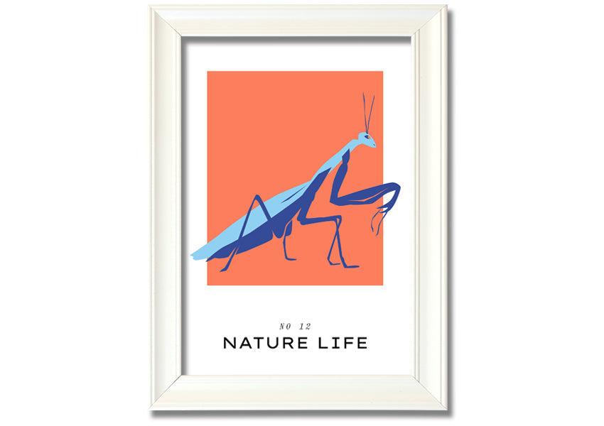 A beautifully framed print of a praying mantis crawling, showcasing intricate details and vibrant colors.
