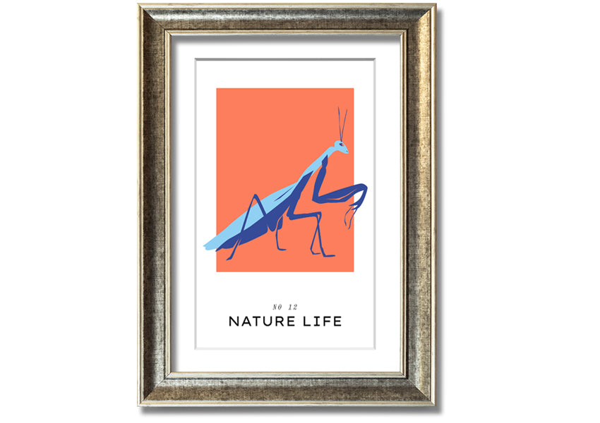 A beautifully framed print of a praying mantis crawling, showcasing intricate details and vibrant colors.