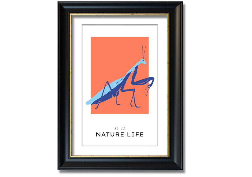 A beautifully framed print of a praying mantis crawling, showcasing intricate details and vibrant colors.