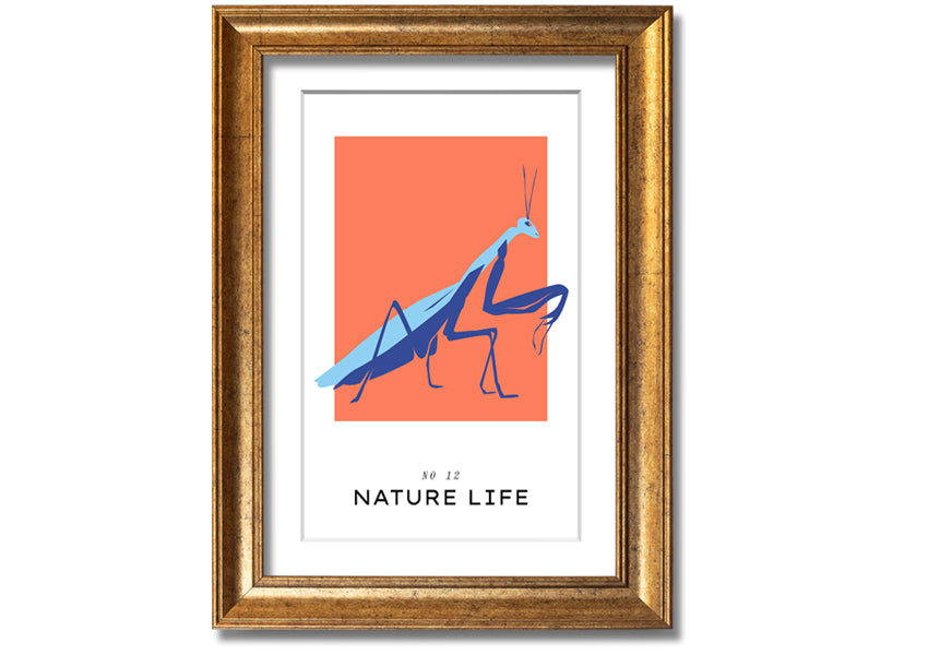 A beautifully framed print of a praying mantis crawling, showcasing intricate details and vibrant colors.