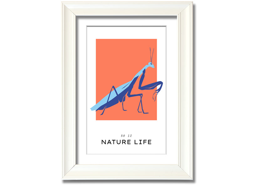 A beautifully framed print of a praying mantis crawling, showcasing intricate details and vibrant colors.