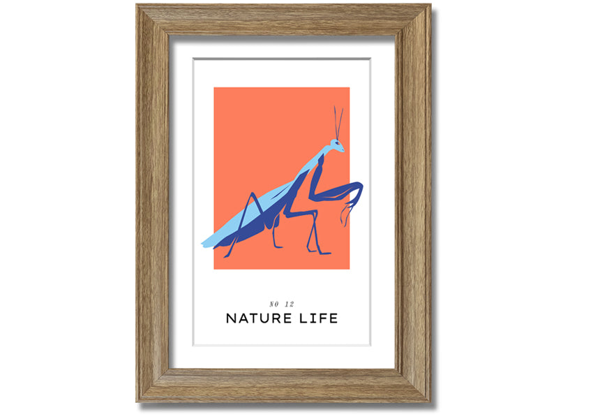 A beautifully framed print of a praying mantis crawling, showcasing intricate details and vibrant colors.