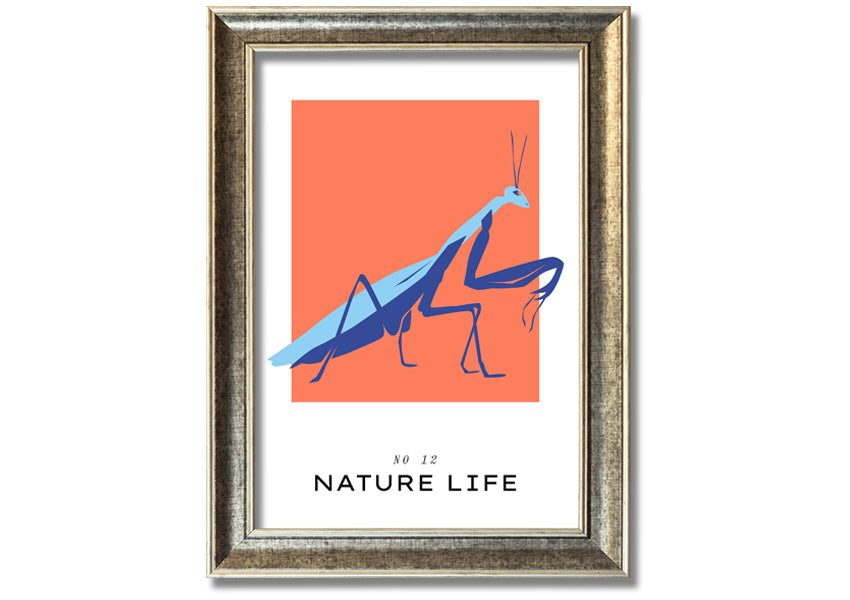A beautifully framed print of a praying mantis crawling, showcasing intricate details and vibrant colors.