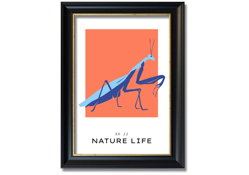A beautifully framed print of a praying mantis crawling, showcasing intricate details and vibrant colors.