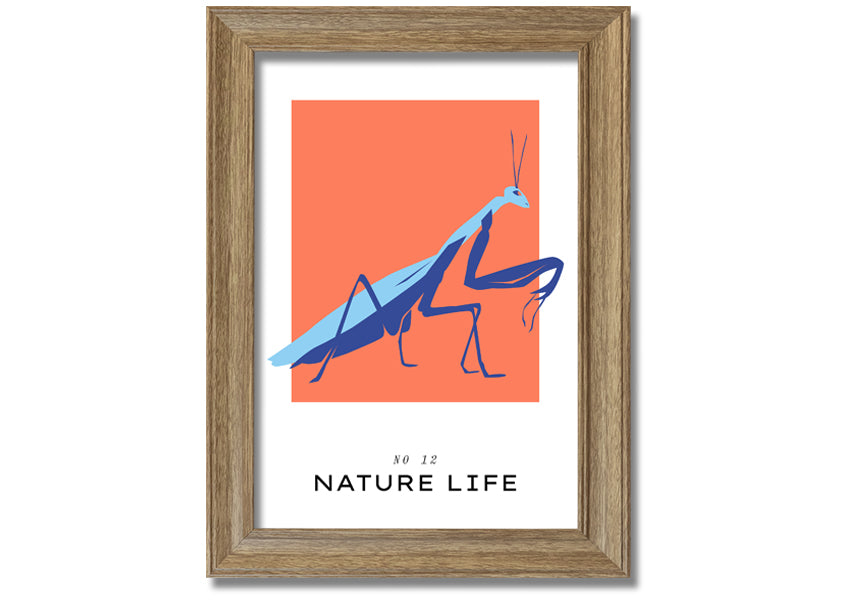 A beautifully framed print of a praying mantis crawling, showcasing intricate details and vibrant colors.