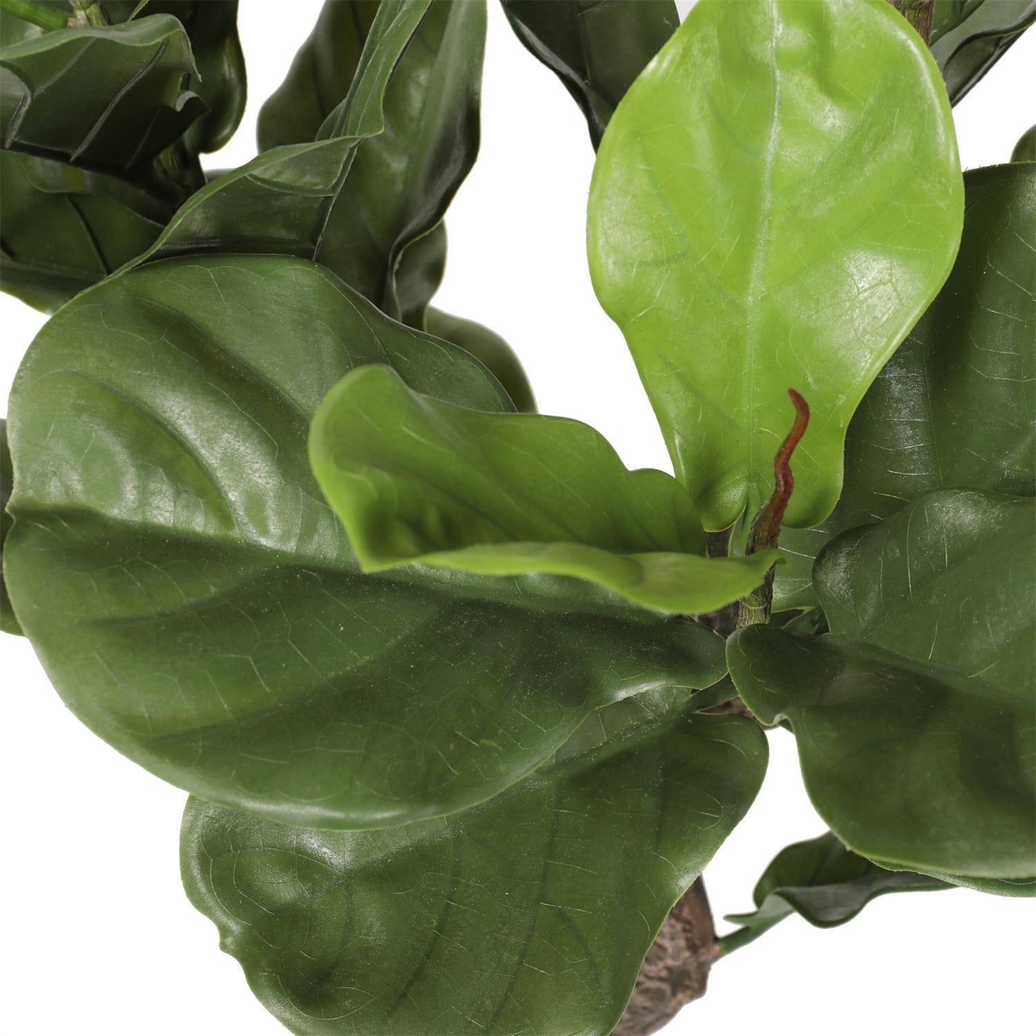 Premium Handcrafted Artificial Fiddle Leaf Fig Tree, 150cm tall with realistic leaves and detailed trunk, perfect for indoor and outdoor decor.