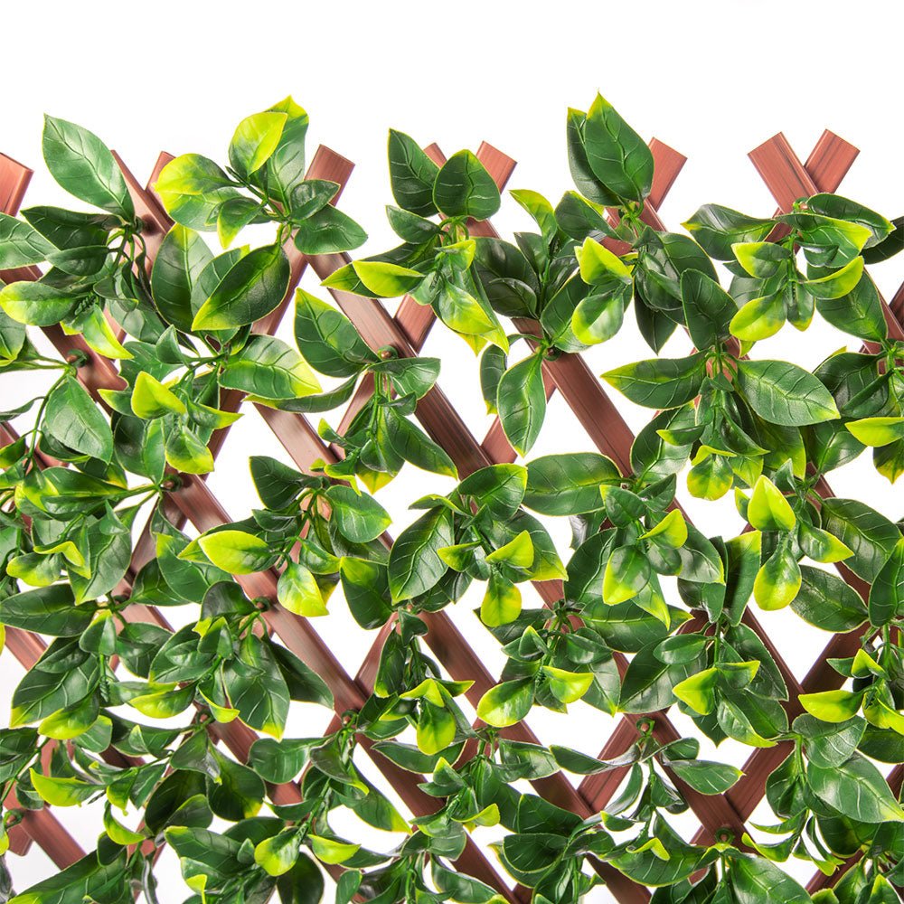 Premium Jasmine Artificial Hedge Extendable Trellis with lush foliage, perfect for privacy and decoration.