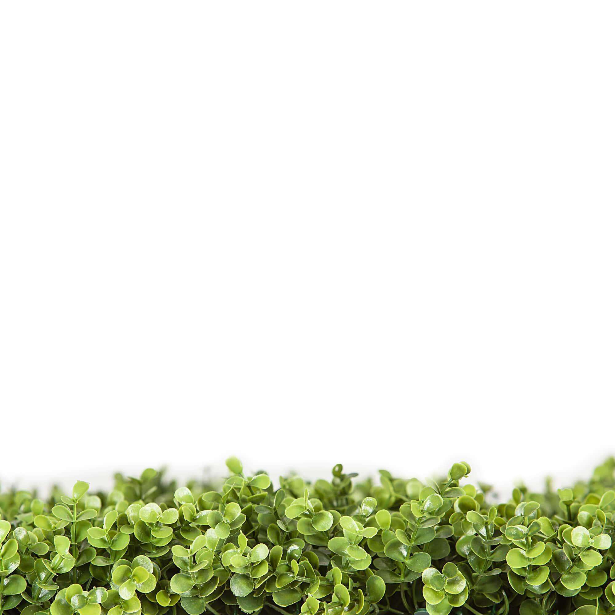 Premium Natural Buxus Artificial Hedge Panel, 1m x 1m, showcasing realistic green foliage for outdoor privacy and aesthetics.