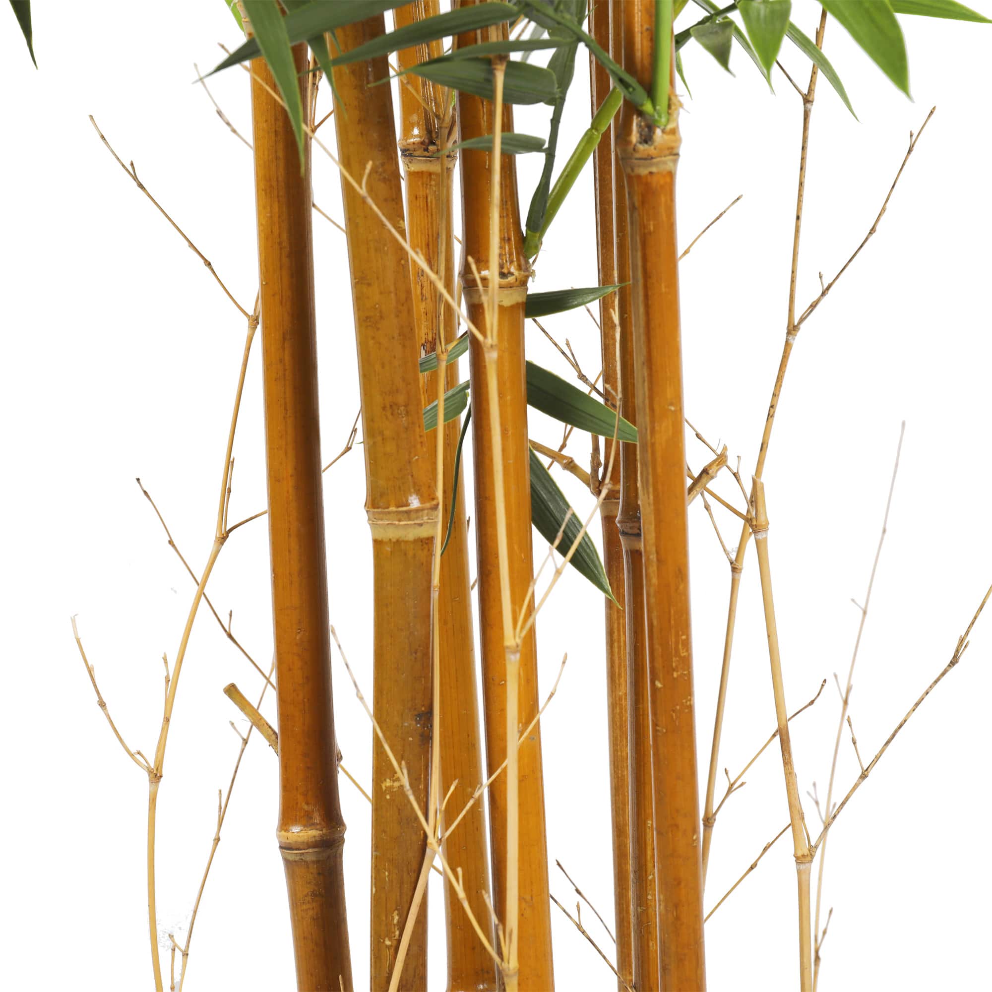 Premium Natural Cane Artificial Bamboo plant, 180cm tall with realistic trunks and leaves, perfect for indoor and outdoor decoration.