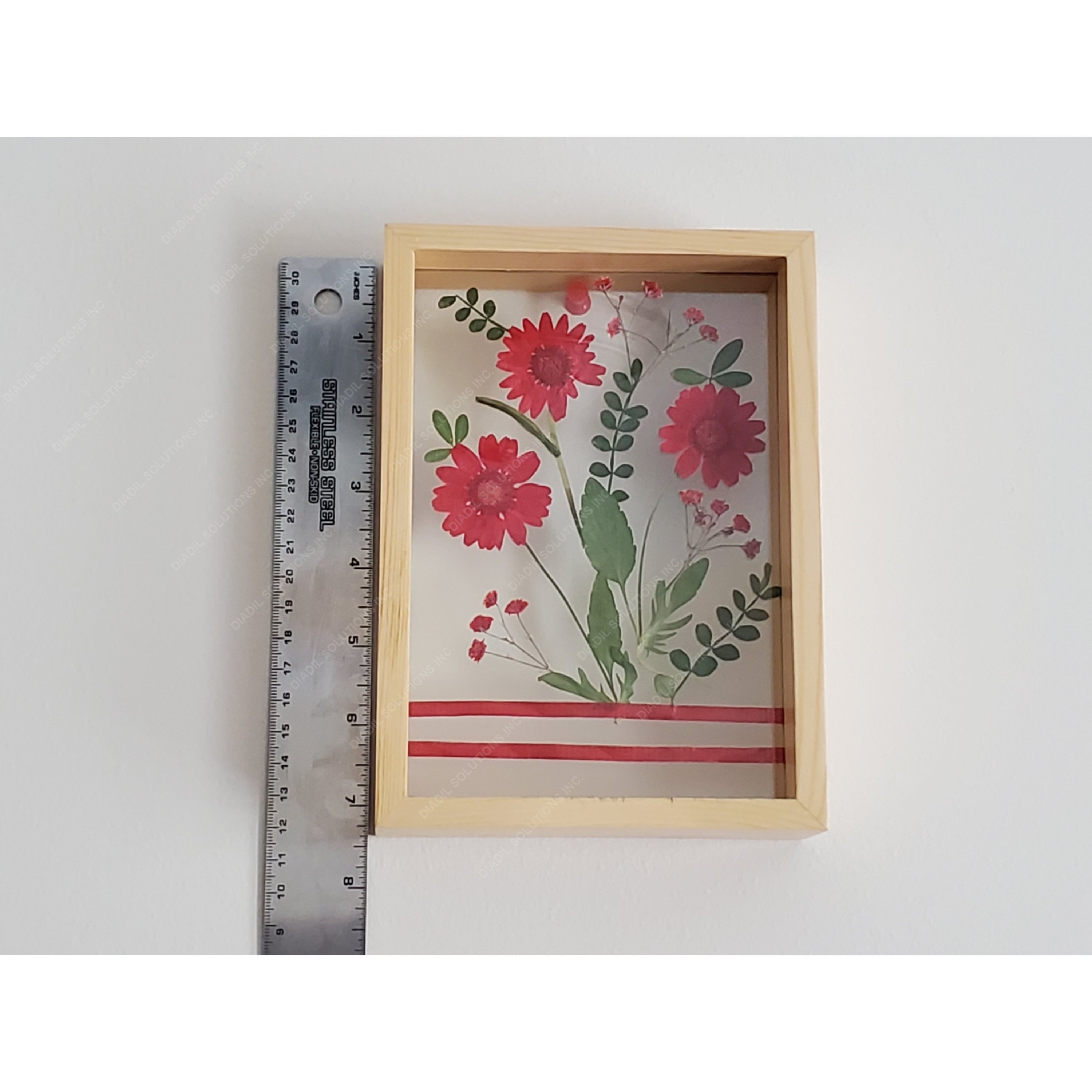 A beautiful red pressed flower displayed in a dual glass frame, showcasing its vibrant colors and intricate details.