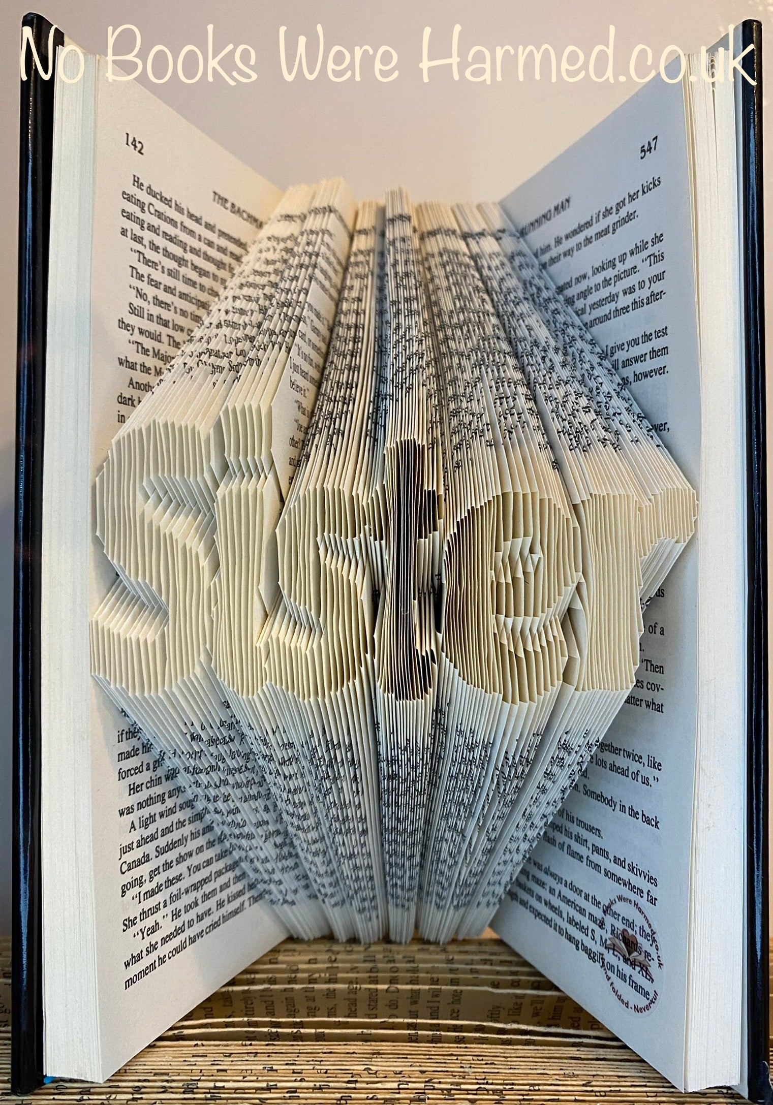 Hand-folded book art titled 'Sister', showcasing intricate designs made from reclaimed vintage books.
