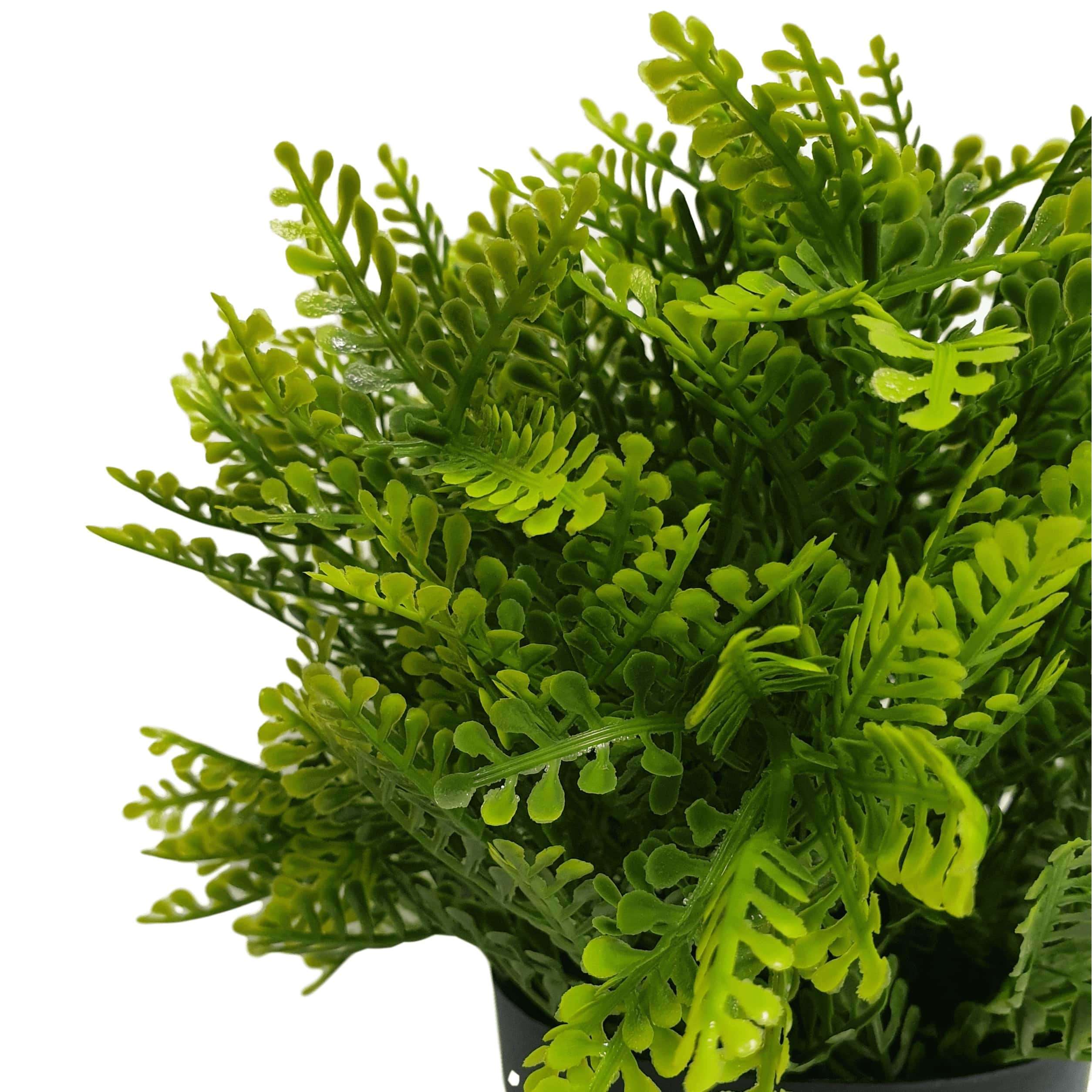 Small potted artificial mimosa fern with multi-tone leaves, suitable for indoor and outdoor use, displayed in a decorative pot.