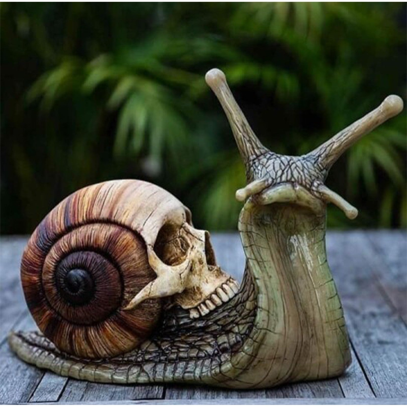 Intricately designed Snail Skull Sculpture in gothic style, showcasing a snail with a skull-shaped shell, perfect for garden or home decor.