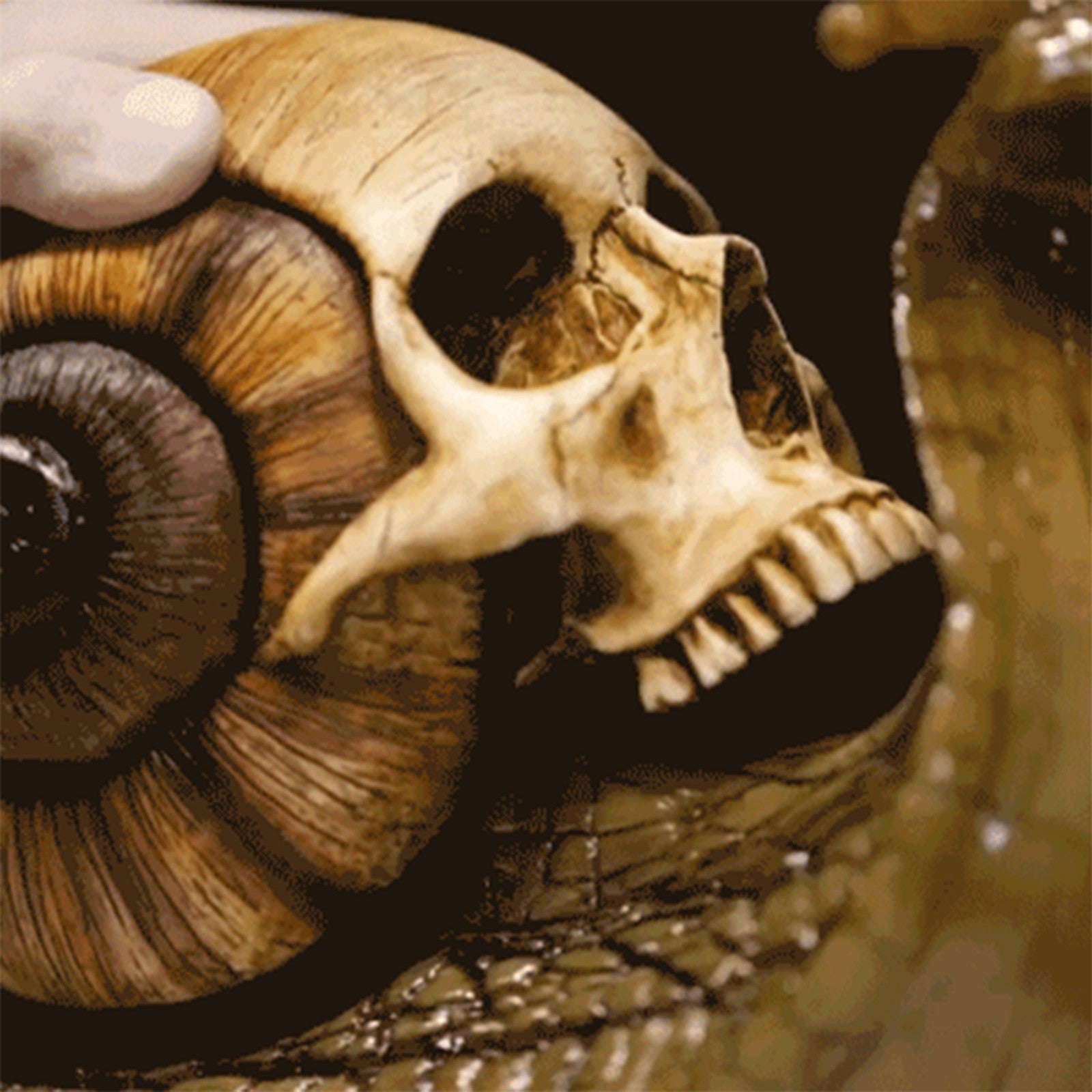 Intricately designed Snail Skull Sculpture in gothic style, showcasing a snail with a skull-shaped shell, perfect for garden or home decor.