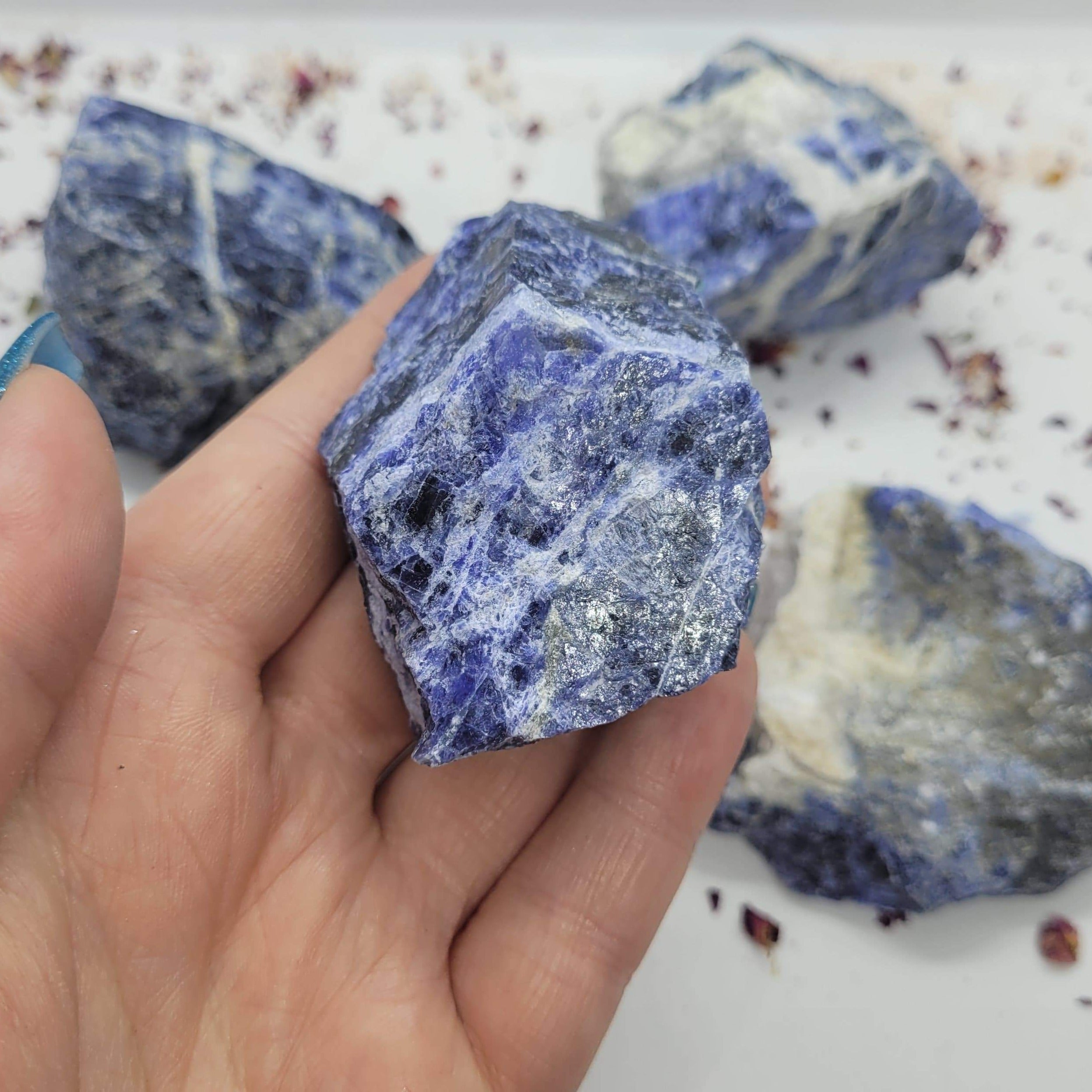 A collection of individually sold Sodalite raw chunks showcasing their rich blue color and natural textures.