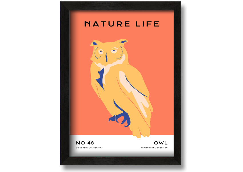 A beautifully framed print of a wise owl, showcasing intricate details and available in various frame colours.