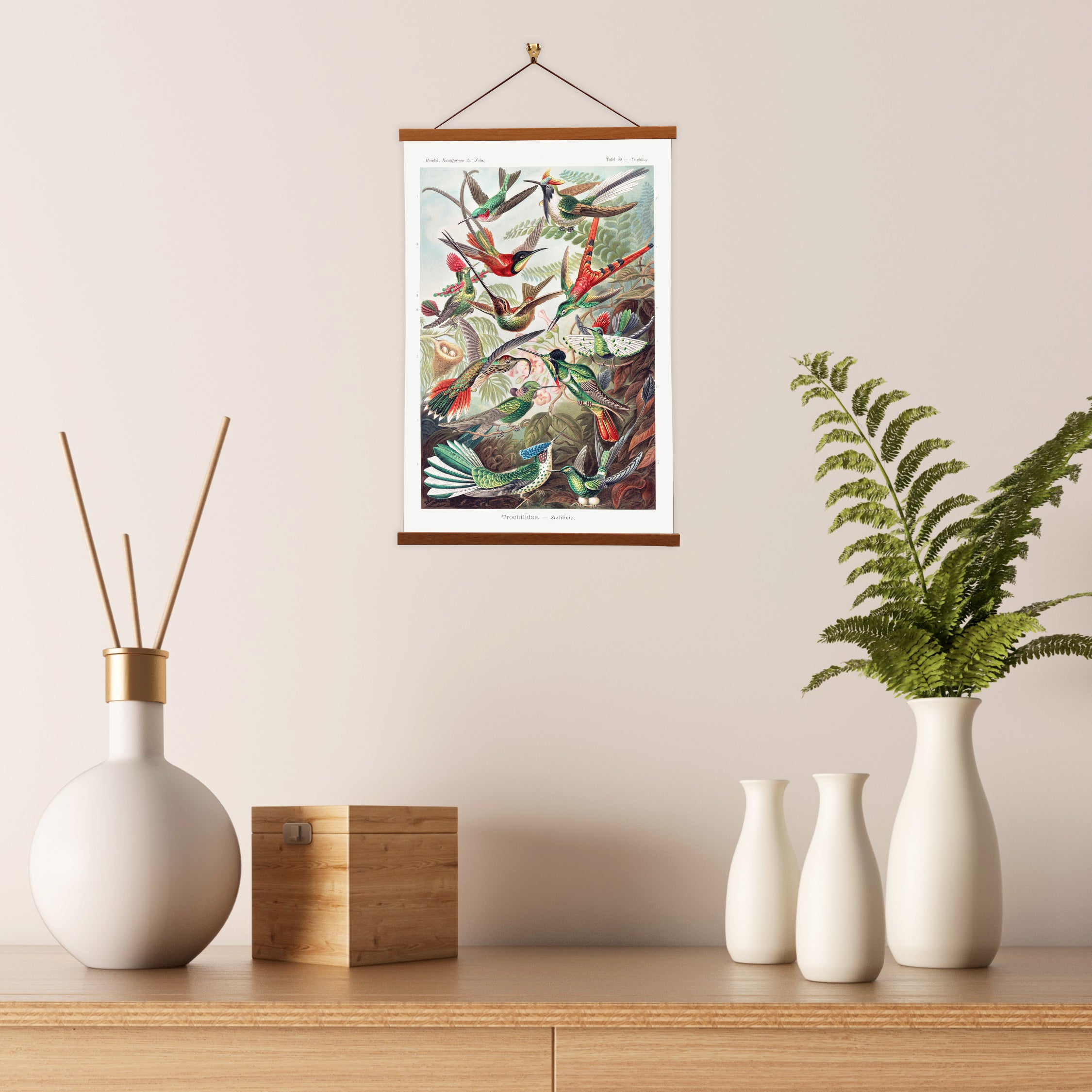 A vibrant canvas print of hummingbirds by Ernst Haeckel, showcasing their intricate details and colorful plumage, elegantly displayed with a wooden magnetic hanger.