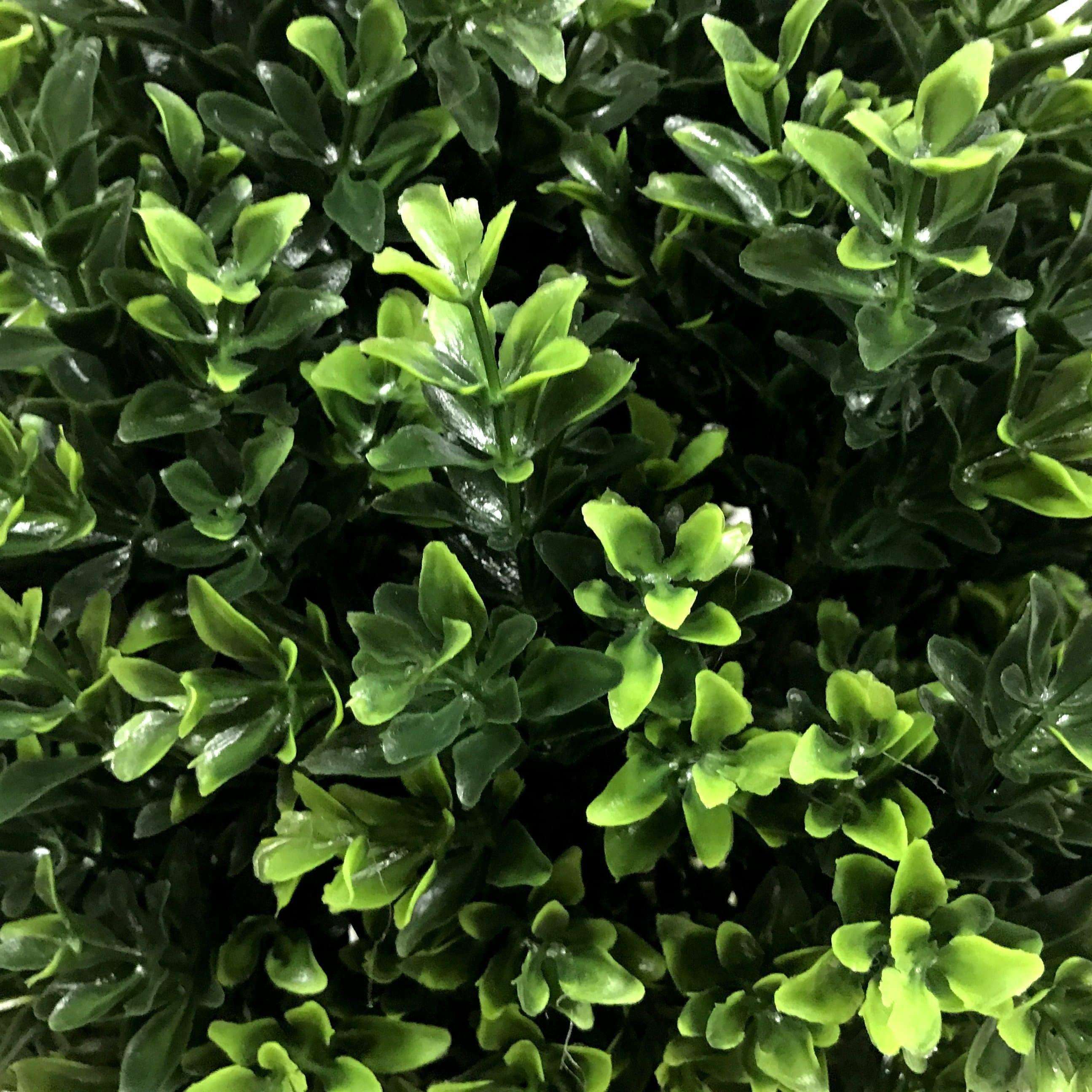 UV Resistant Artificial Topiary Shrub (Hedyotis) 50CM in Mixed Green with vibrant two-tone leaves in a plastic pot.