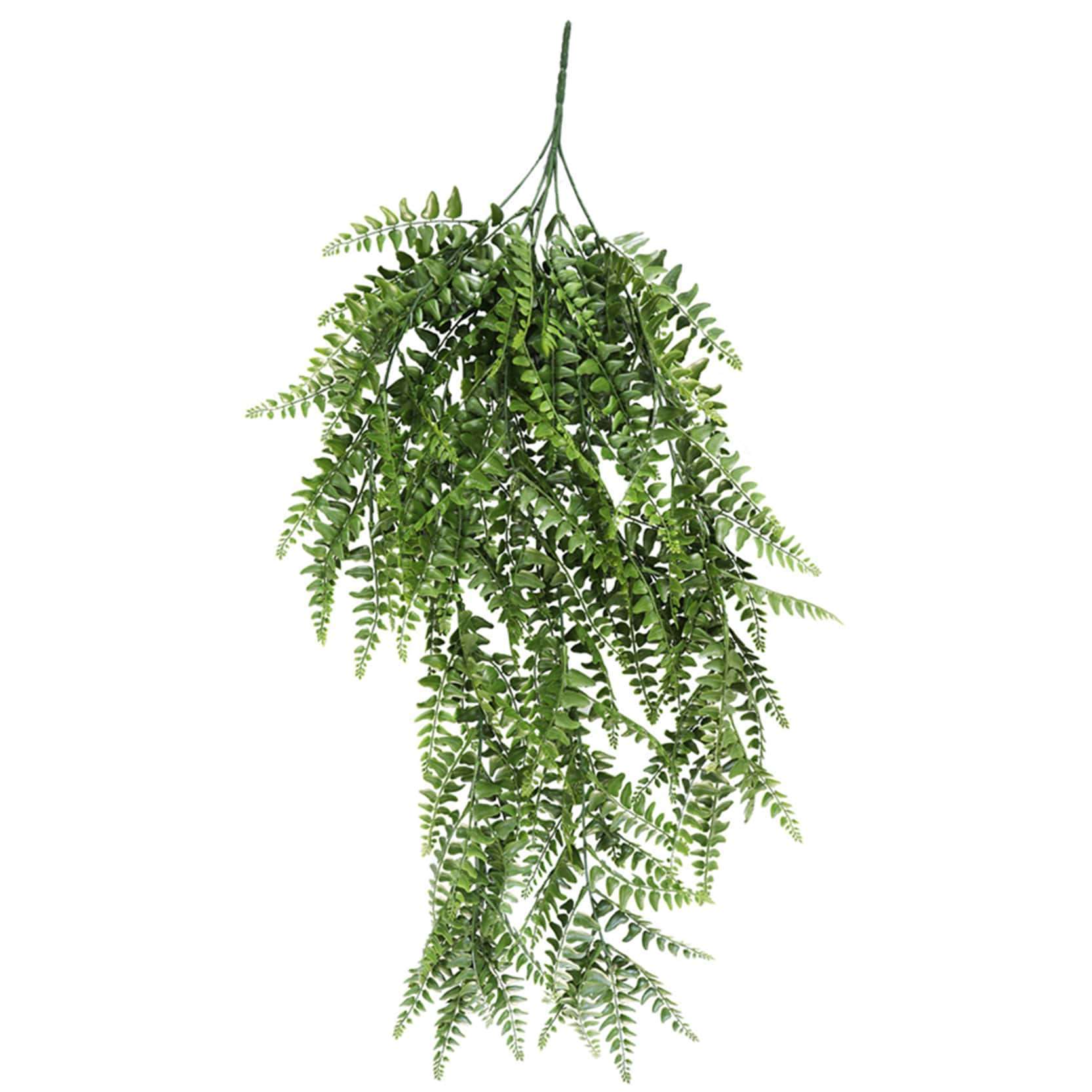 A lush, green UV resistant artificial hanging Boston fern, 90cm long, elegantly trailing down from a ceiling, showcasing its realistic foliage.