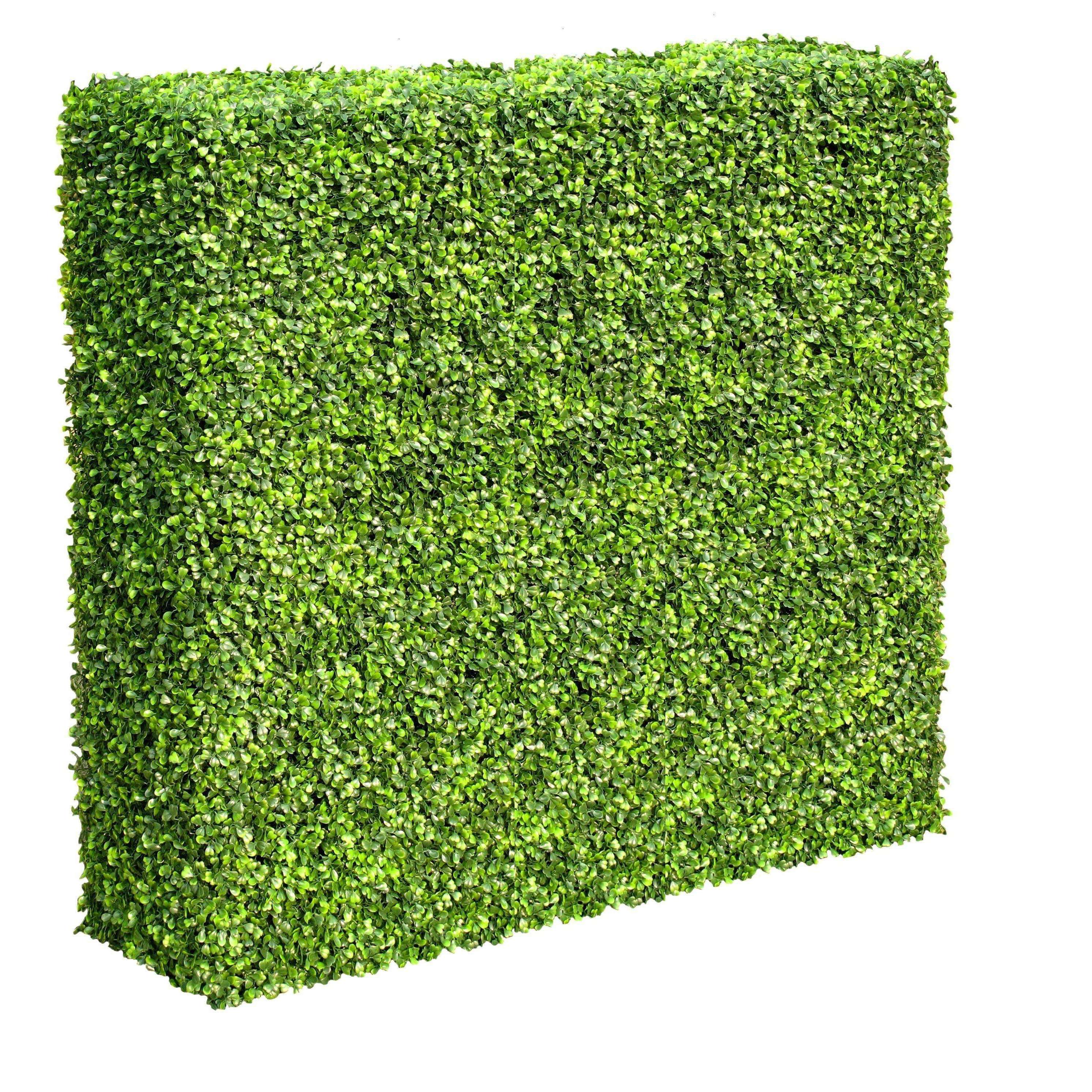 A lush and vibrant UV resistant portable light boxwood artificial hedge panel, 1m high x 1m wide, perfect for enhancing gardens and events.