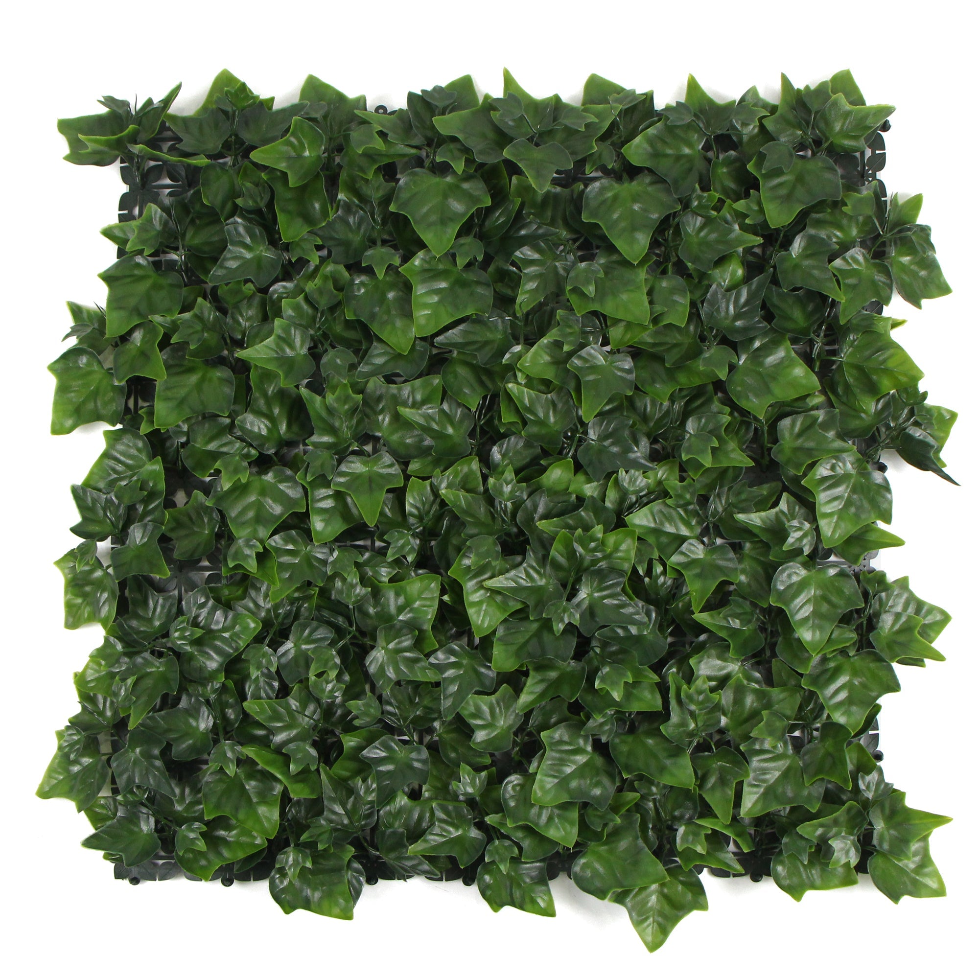 Variegated Boston Ivy Leaf Screen Green Wall Panel showcasing lush green leaves, perfect for privacy and decoration in indoor or outdoor settings.