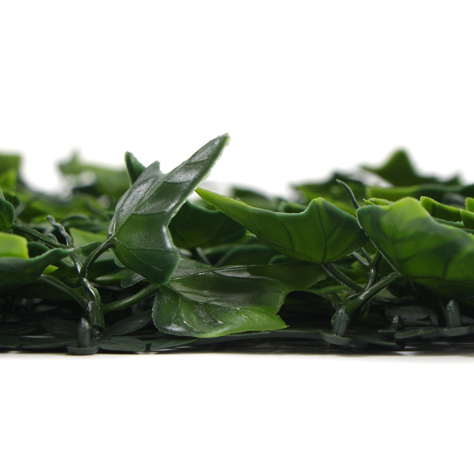 Variegated Boston Ivy Leaf Screen Green Wall Panel showcasing lush green leaves, perfect for privacy and decoration in indoor or outdoor settings.
