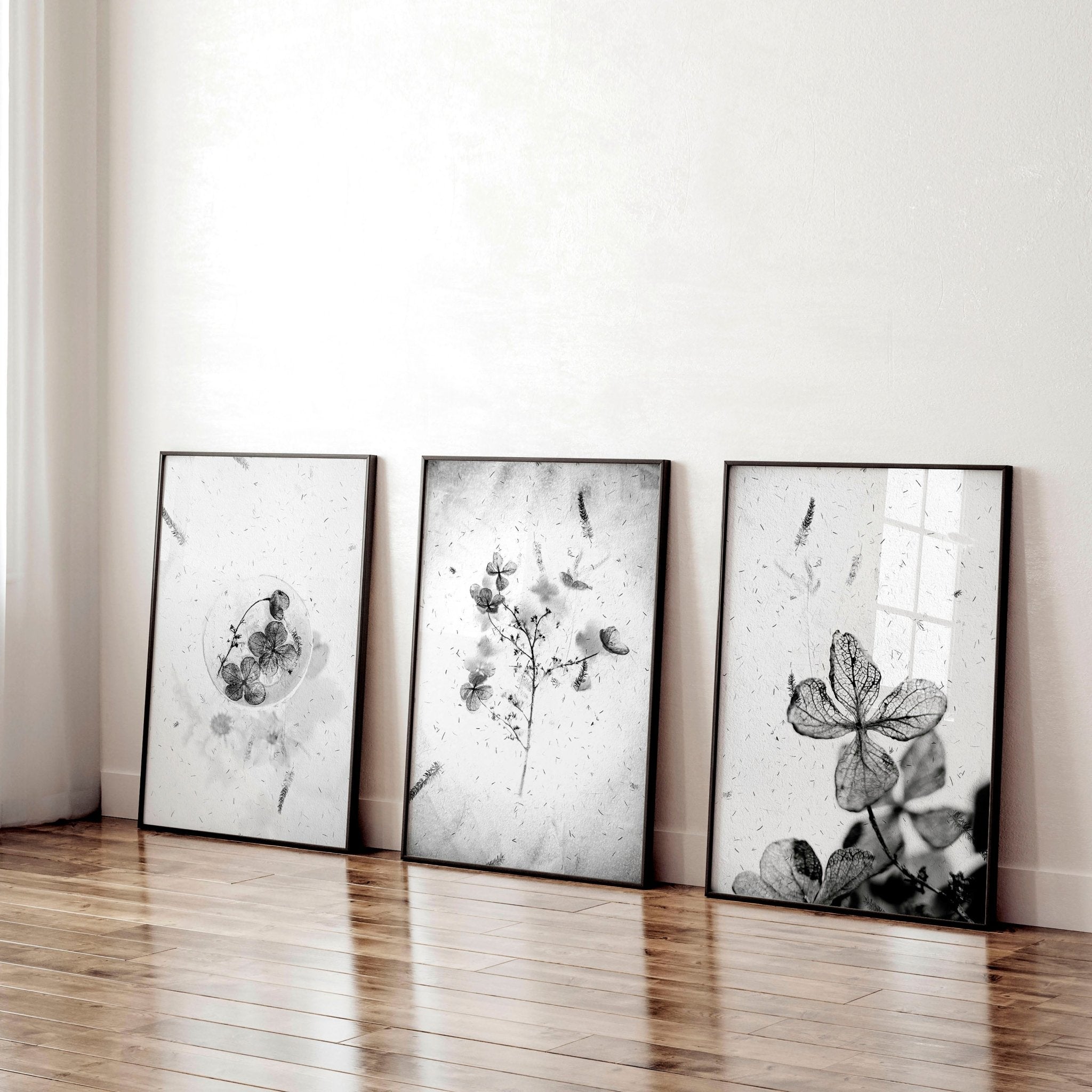 Set of 3 framed wall art prints featuring Black and White Botanical designs, perfect for home office decor.