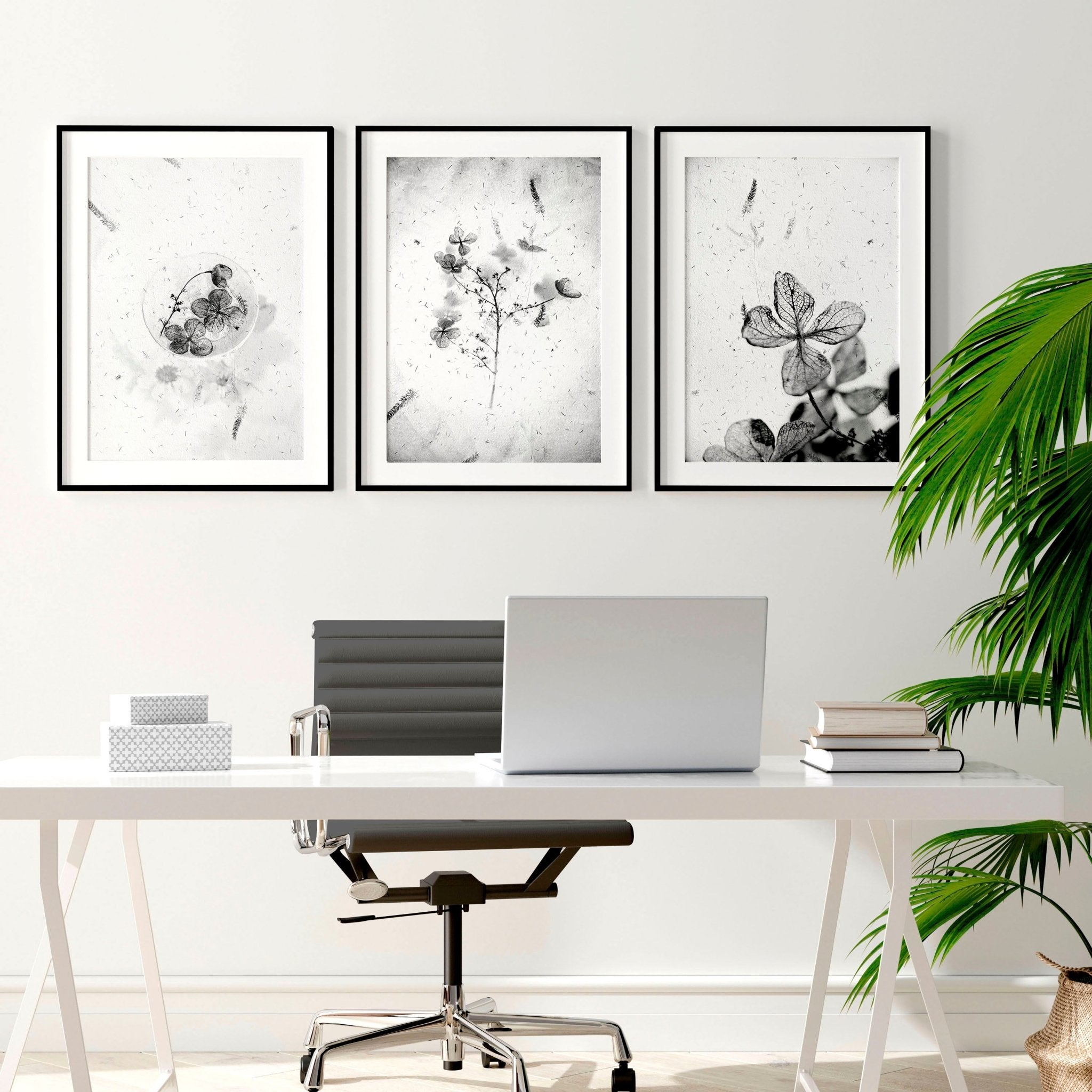 Set of 3 framed wall art prints featuring Black and White Botanical designs, perfect for home office decor.