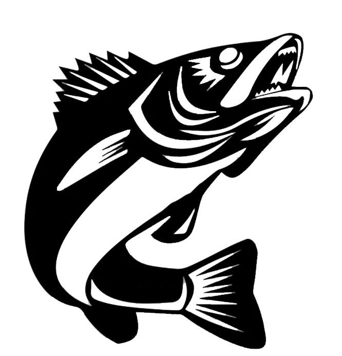 Walleye Fish metal wall art showcasing intricate details and a sleek finish, perfect for home decor.