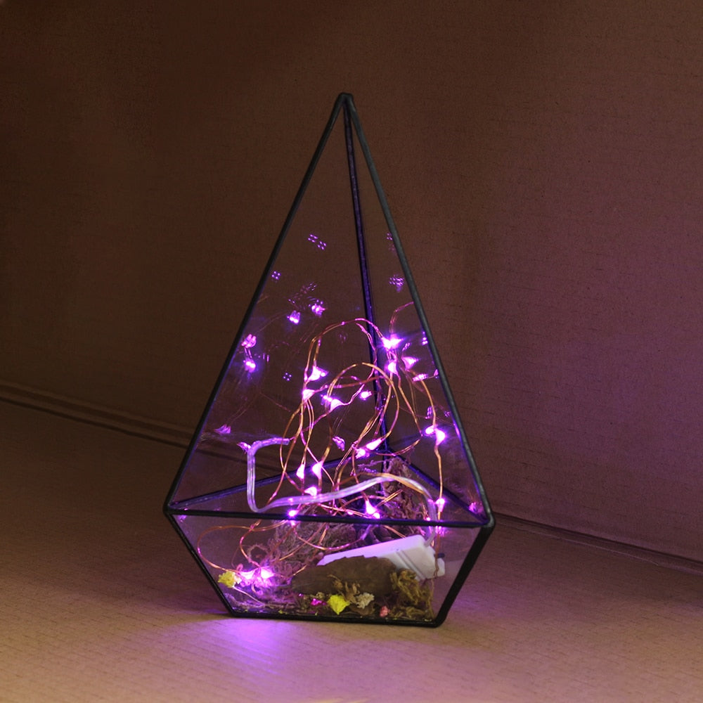 Waterproof Fairy CR2032 Battery Powered LED Mini Christmas Decor with copper wire and multiple light colors, perfect for holiday decorations.