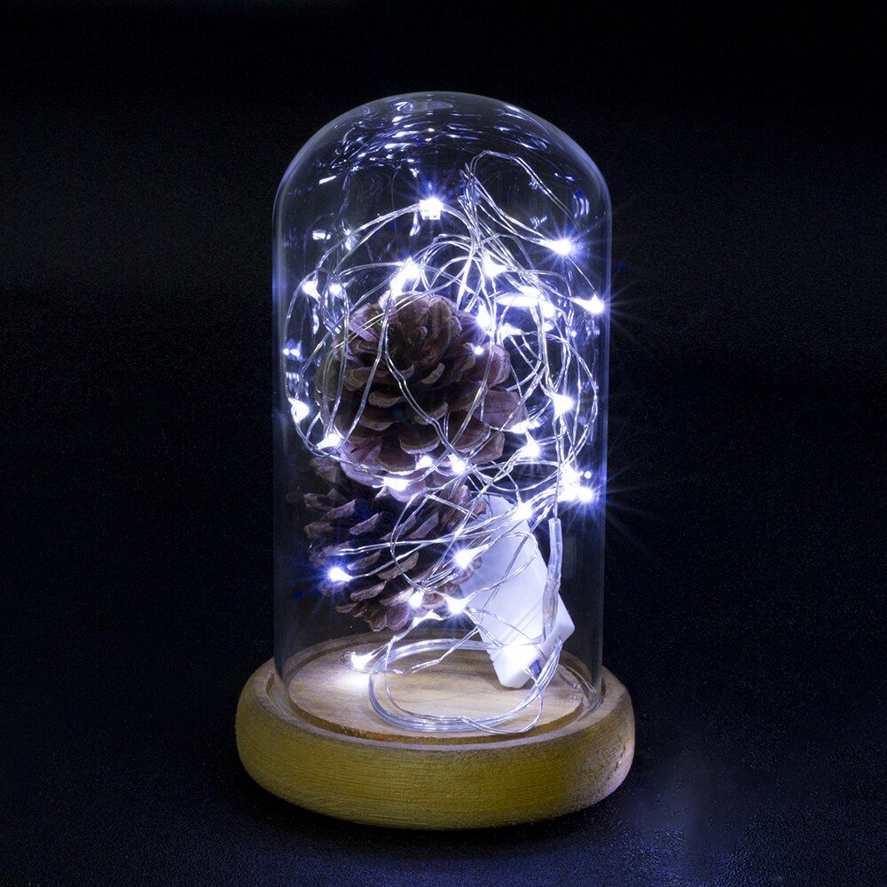 Waterproof Fairy CR2032 Battery Powered LED Mini Christmas Decor with copper wire and multiple light colors, perfect for holiday decorations.