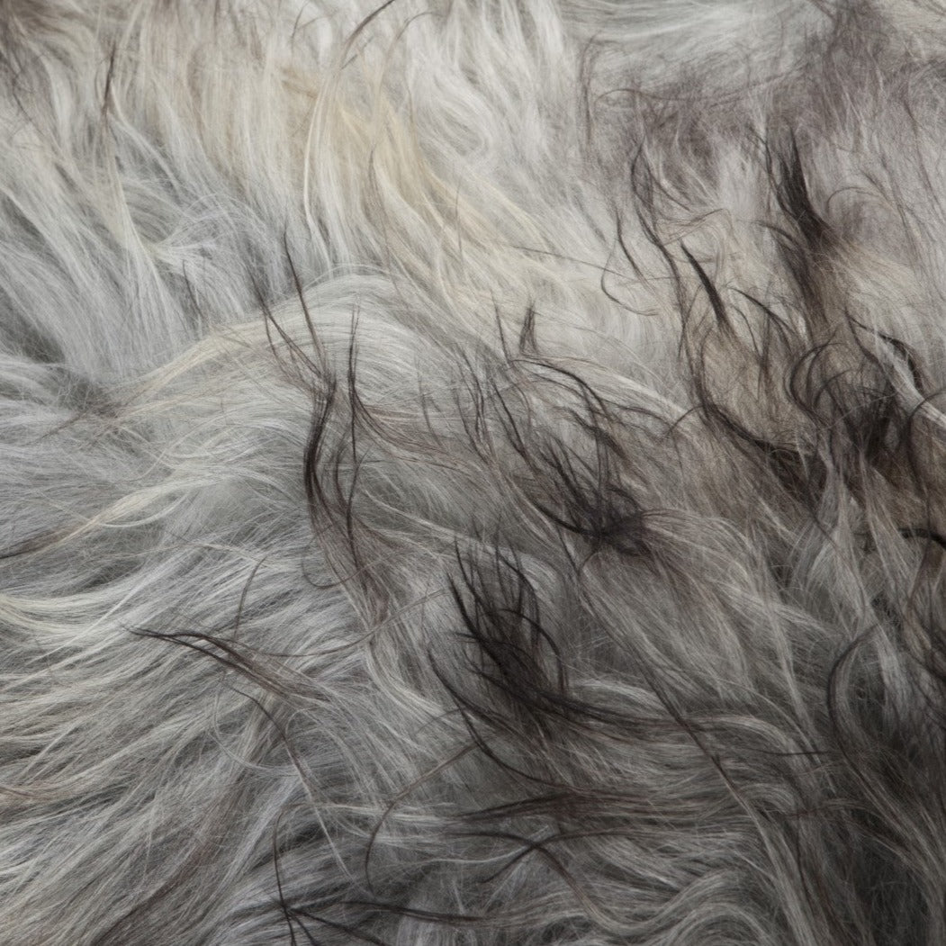 Set van vier IJslandse schapenvachten in natuurlijk grijs, perfect voor decoratie en comfort.