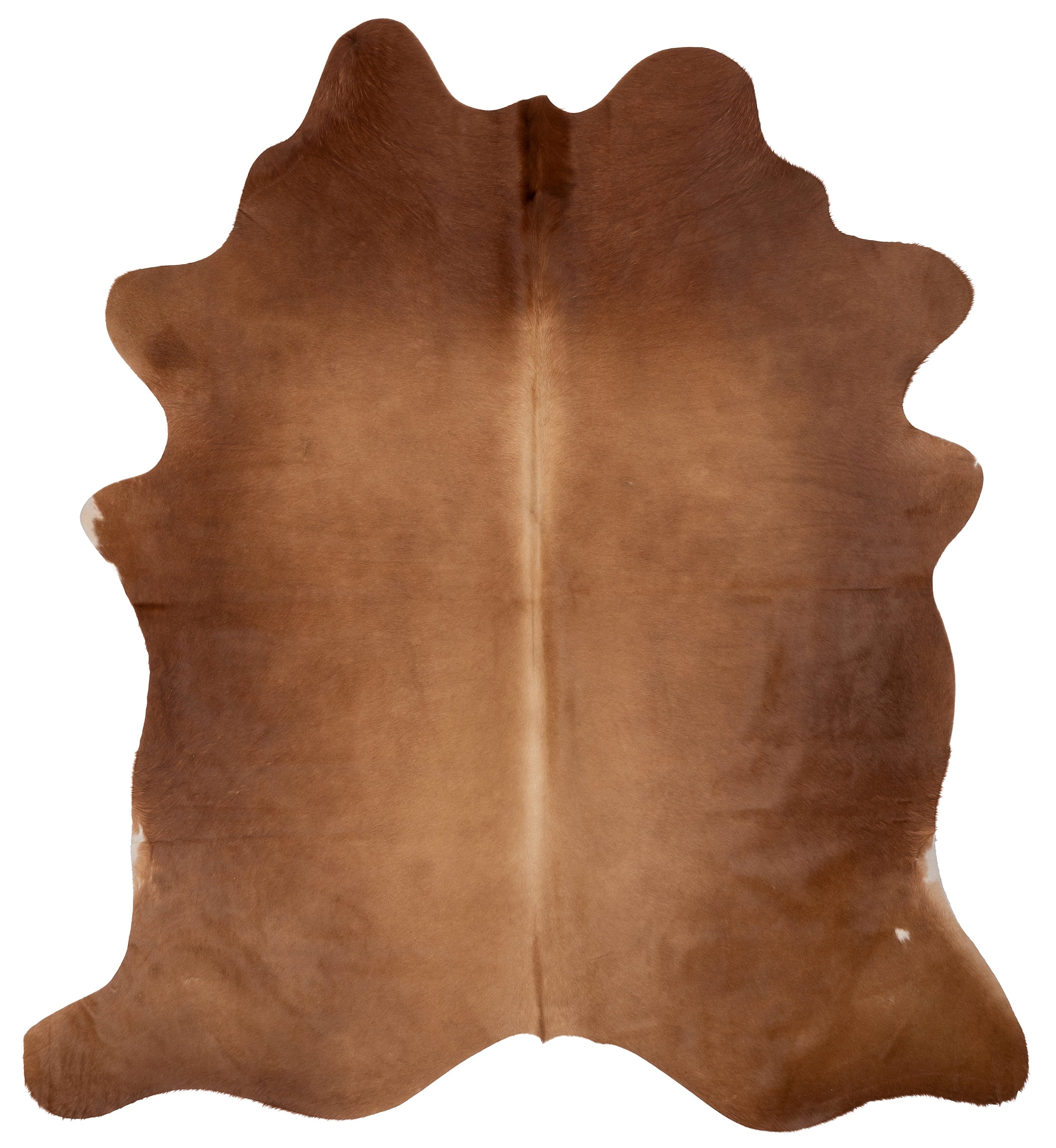 Unieke K025 koeienhuid XL in bruin, afmetingen ca. 210 x 180 cm, perfect voor interieurdecoratie.