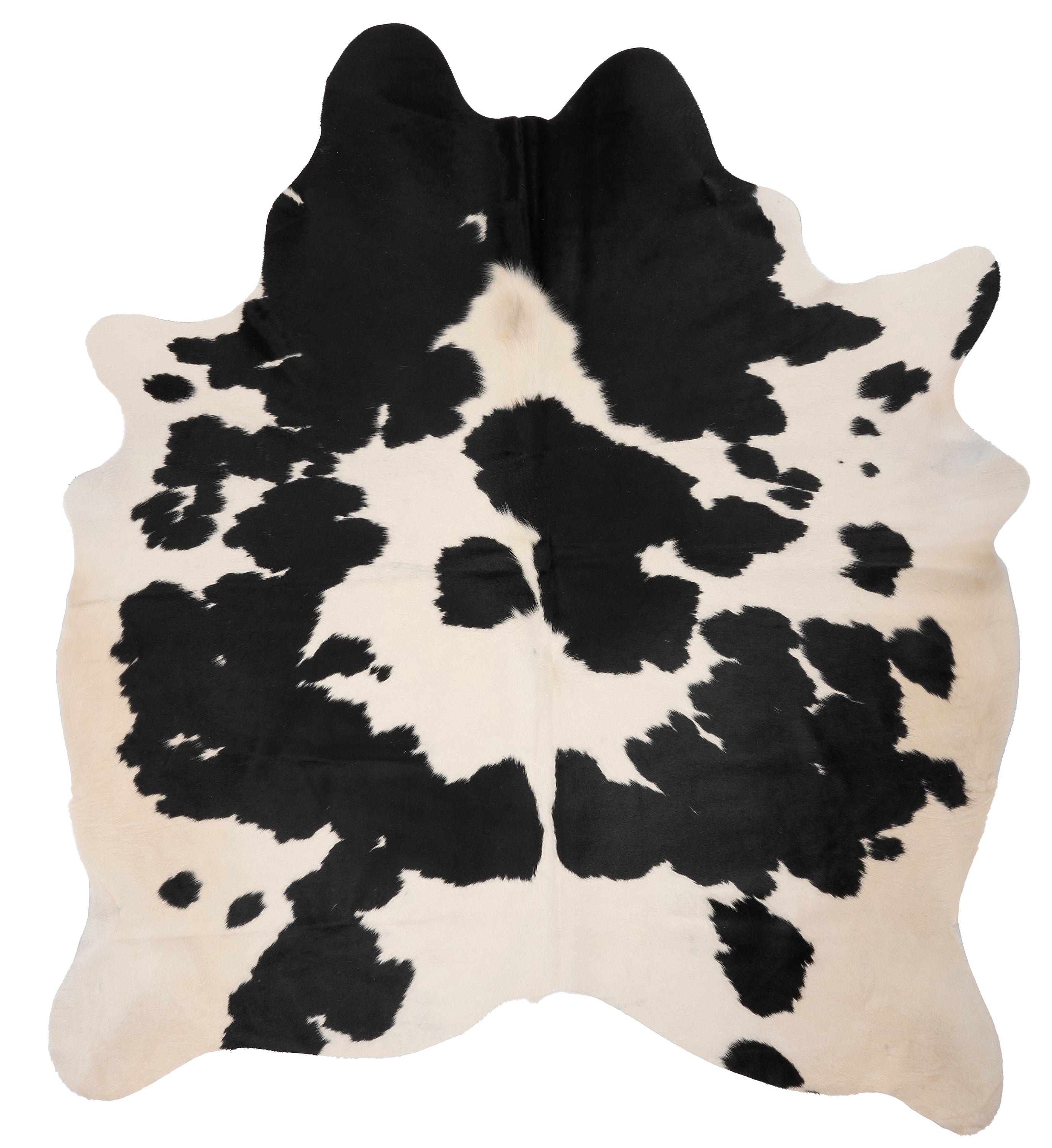 Unieke bruin-witte koeienhuid XL, afmetingen ca. 210 x 180 cm, perfect voor interieurdecoratie.