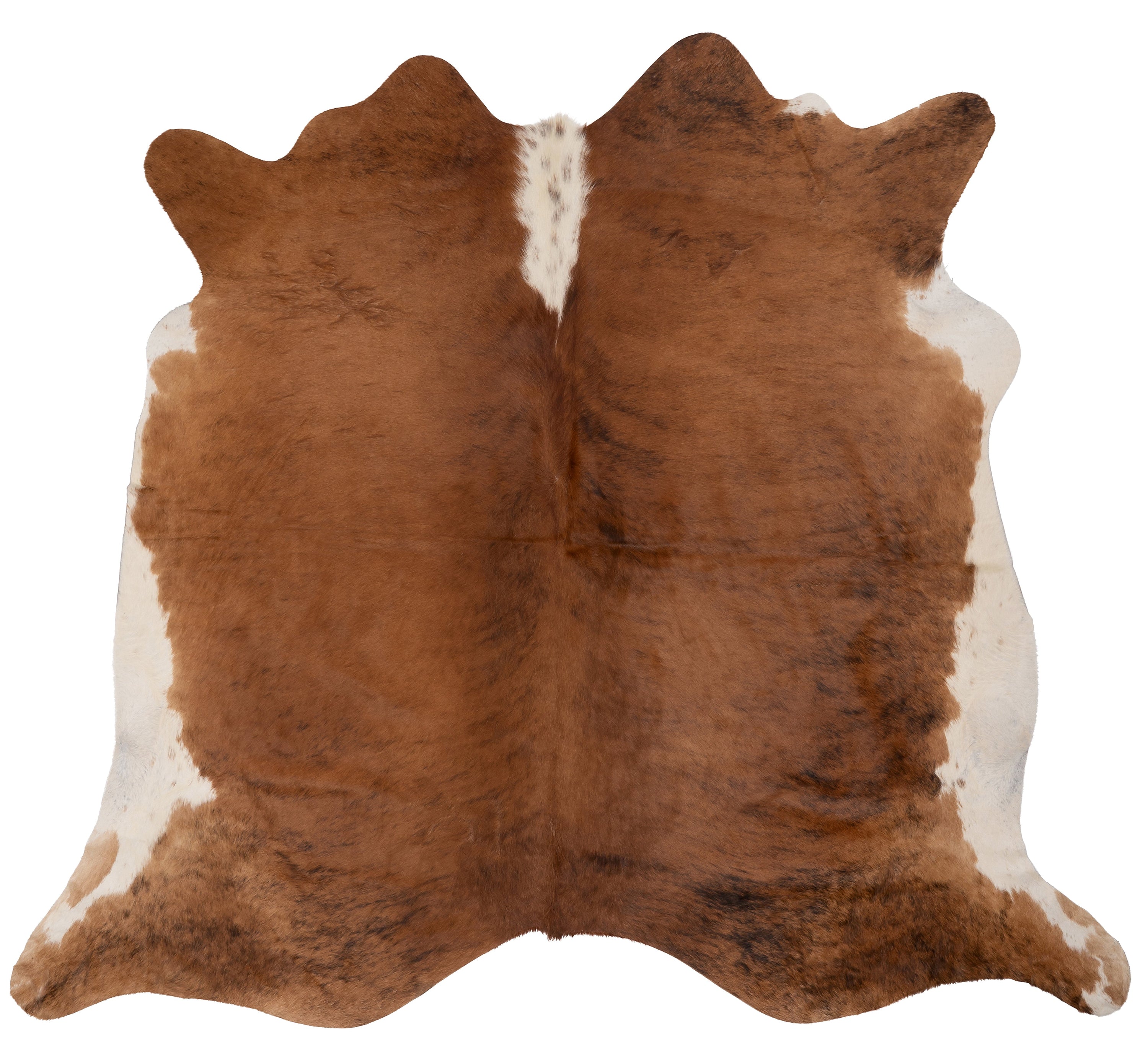 Unieke K058 koeienhuid XL in bruin, afmetingen ca. 210 x 180 cm, perfect voor interieurdecoratie.