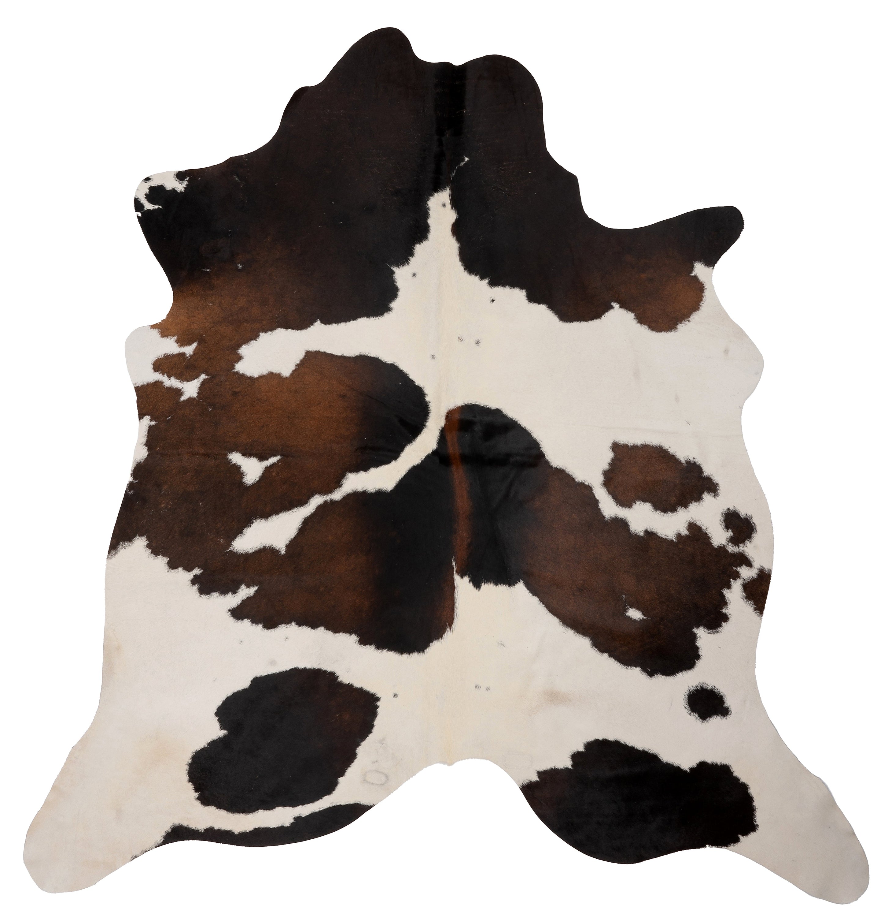 Unieke bruin-witte K090 koeienhuid XL met afmetingen ca. 210 x 180 cm, perfect voor interieurdecoratie.