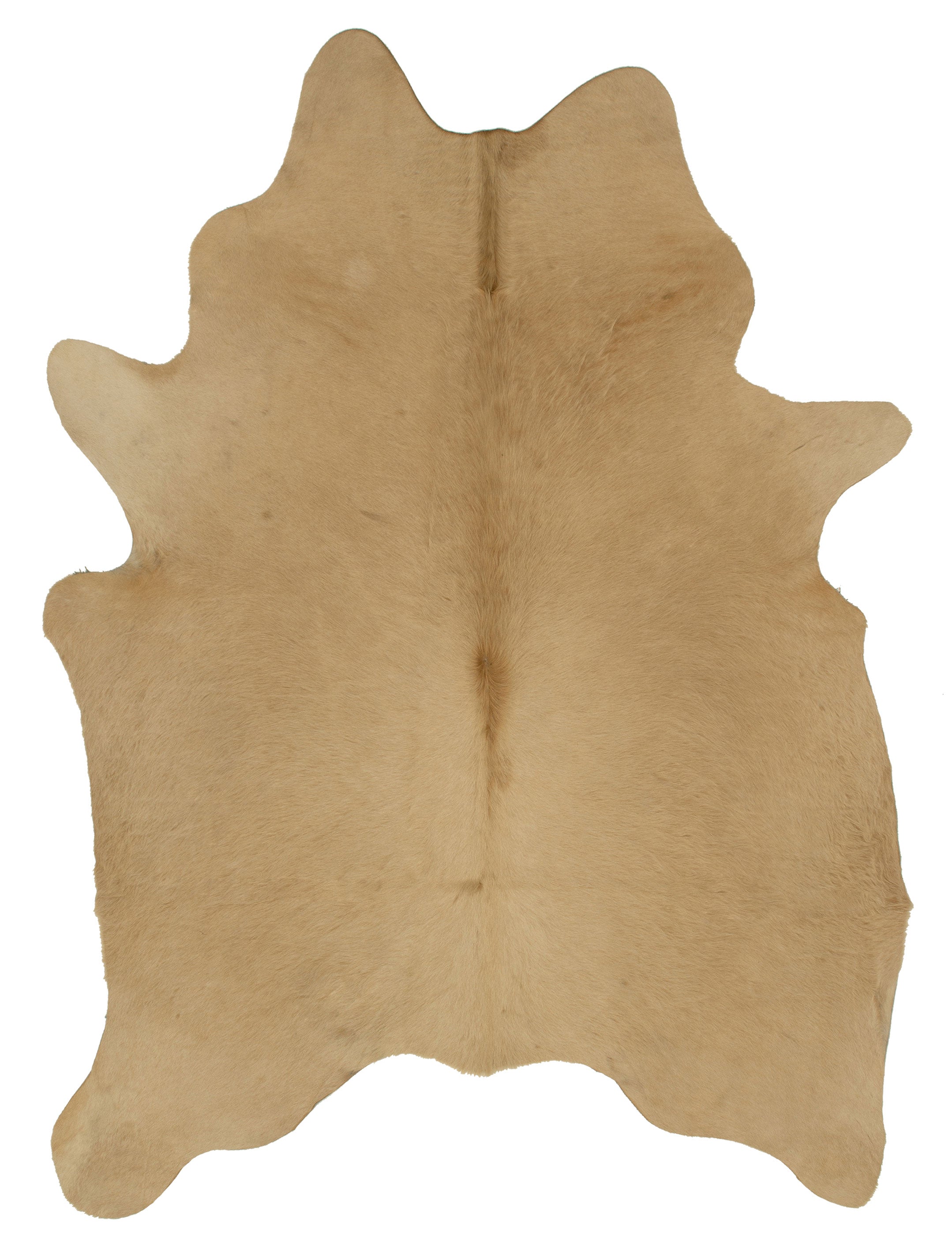 Lichtbruine unieke koeienhuid K182, met afmetingen van ca. 180 x 160 cm, perfect voor interieurdecoratie.