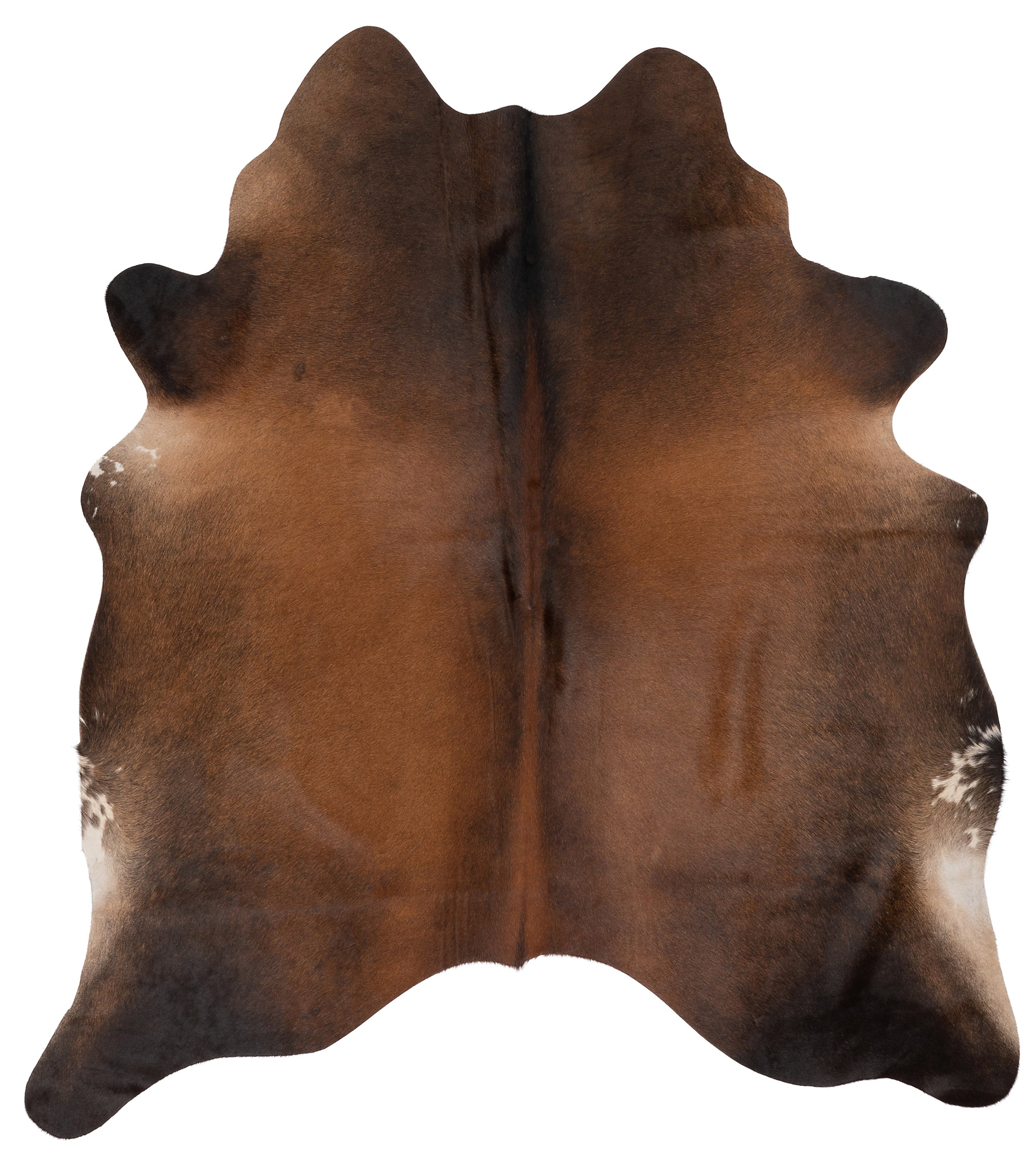 Unieke zwartbruine koeienhuid K432, afmetingen ca. 180 x 160 cm, perfect voor interieurdecoratie.