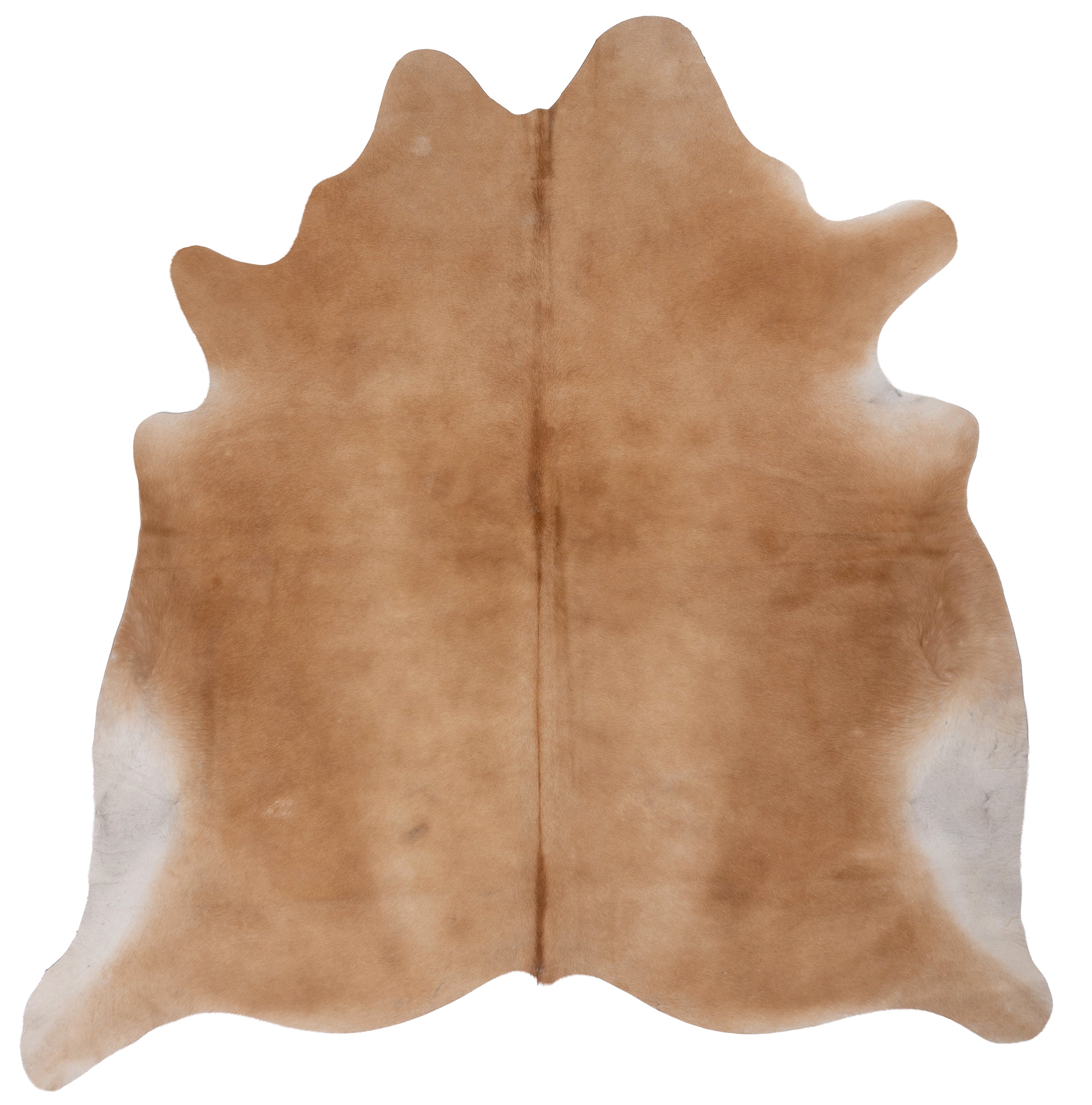 Lichtbruine koeienhuid K434 van ca. 180 x 160 cm, perfect voor interieurdecoratie.