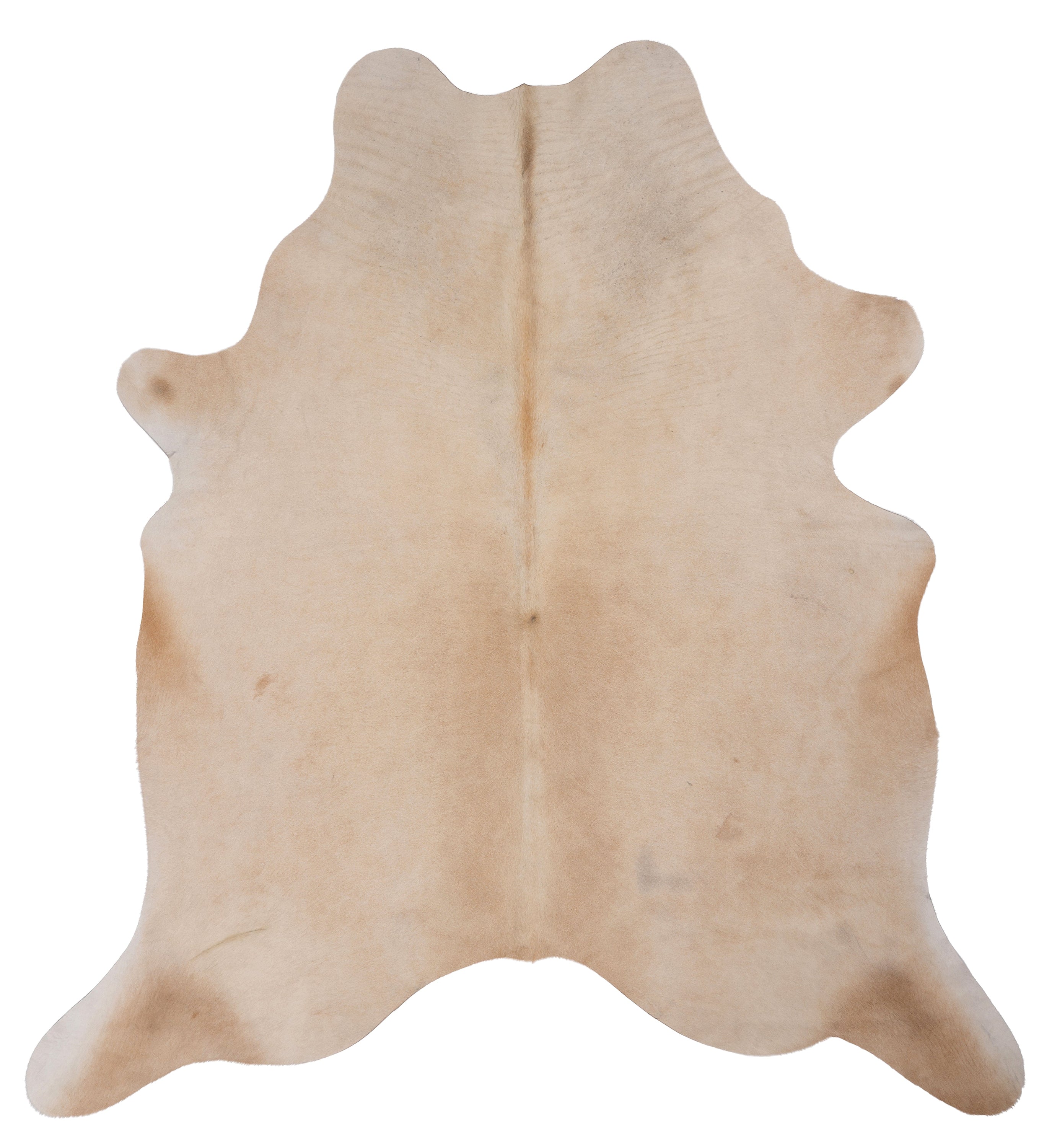 Unieke lichtbruine koeienhuid van 180 x 160 cm, perfect voor interieurdecoratie.