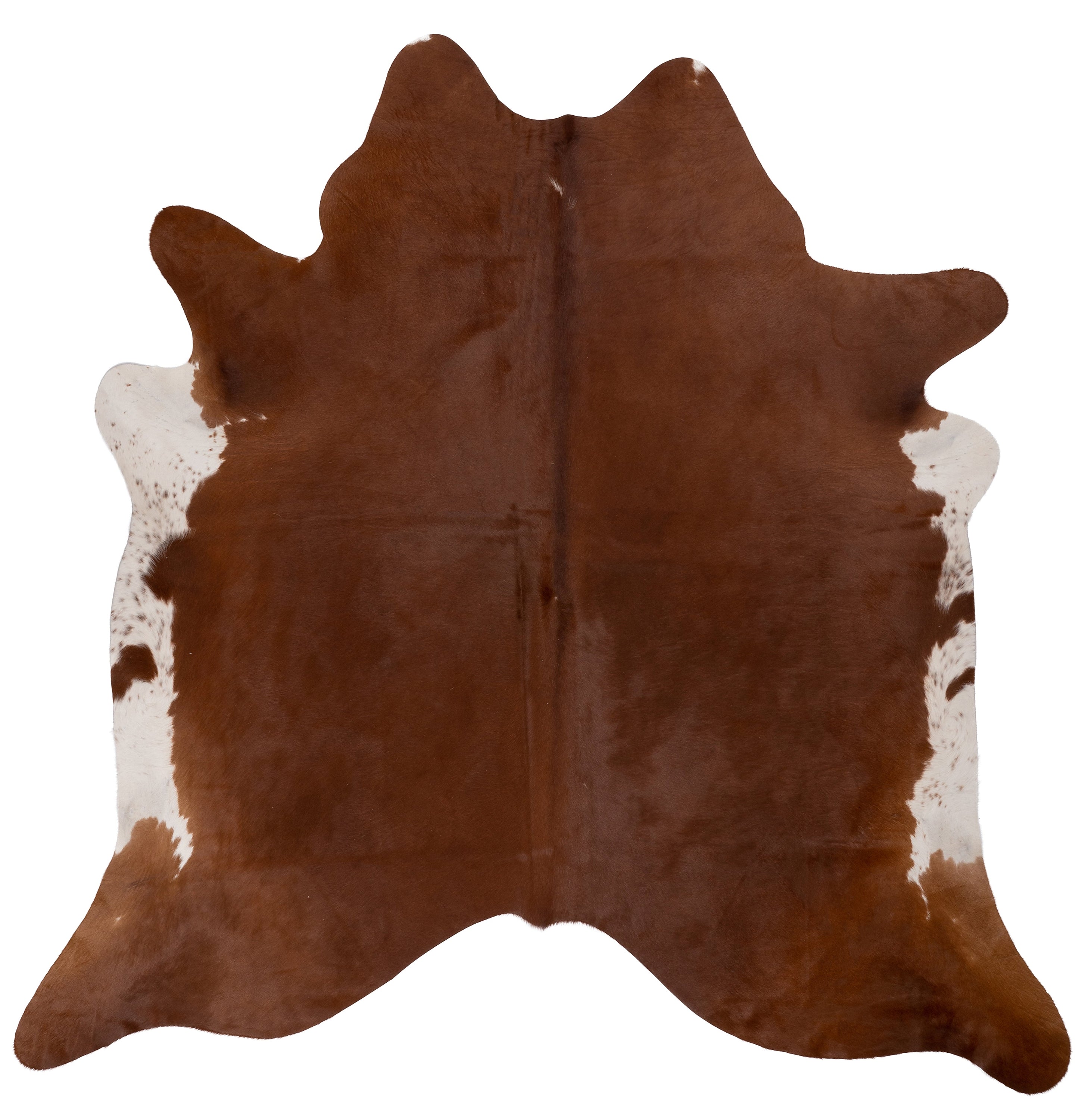 Unieke bruin-witte koeienhuid K445, perfect voor interieurdecoratie, met afmetingen van ca. 180 x 160 cm.