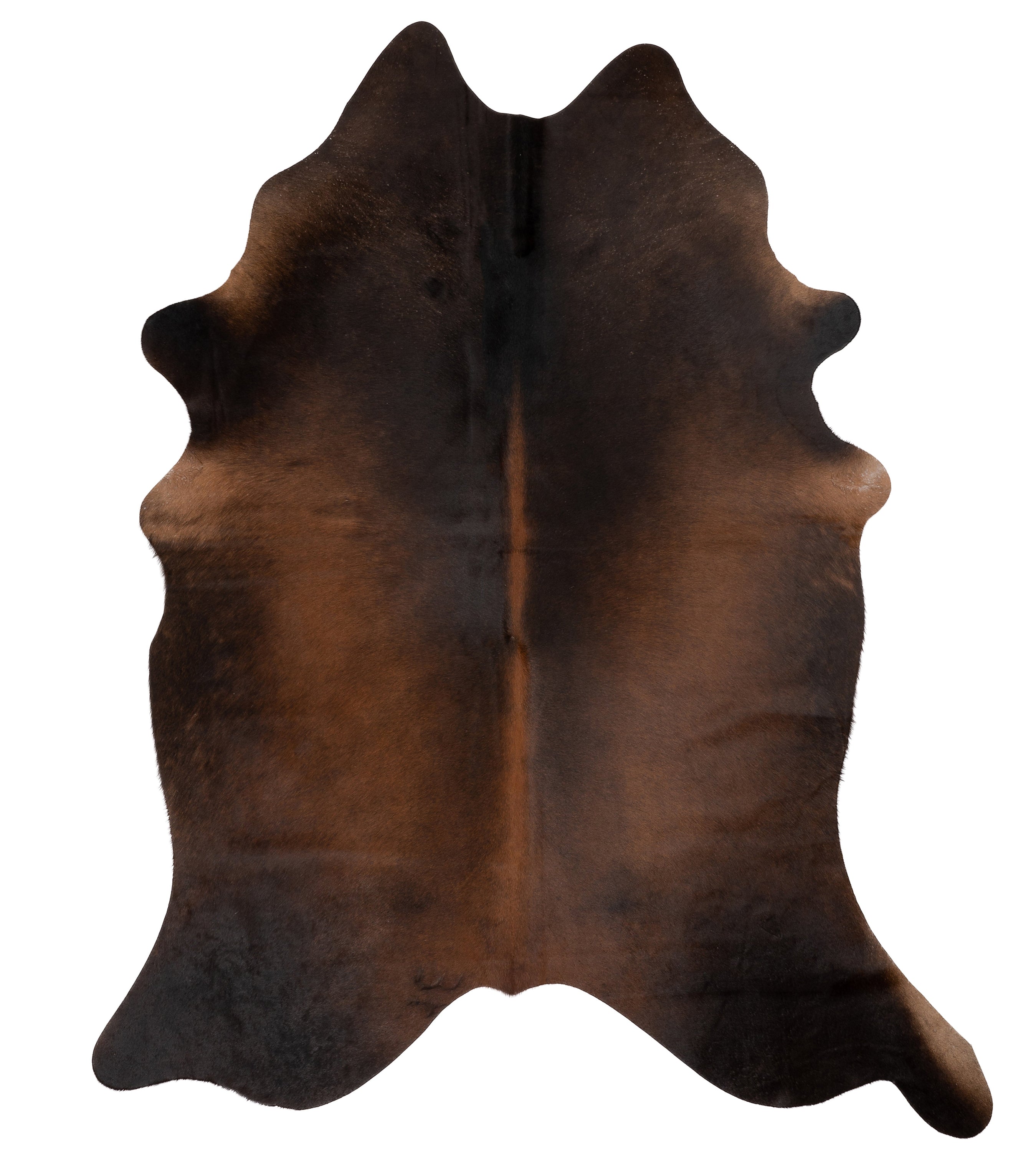 Zwartbruine koeienhuid K446 van ca. 180 x 160 cm, perfect voor interieurdecoratie.
