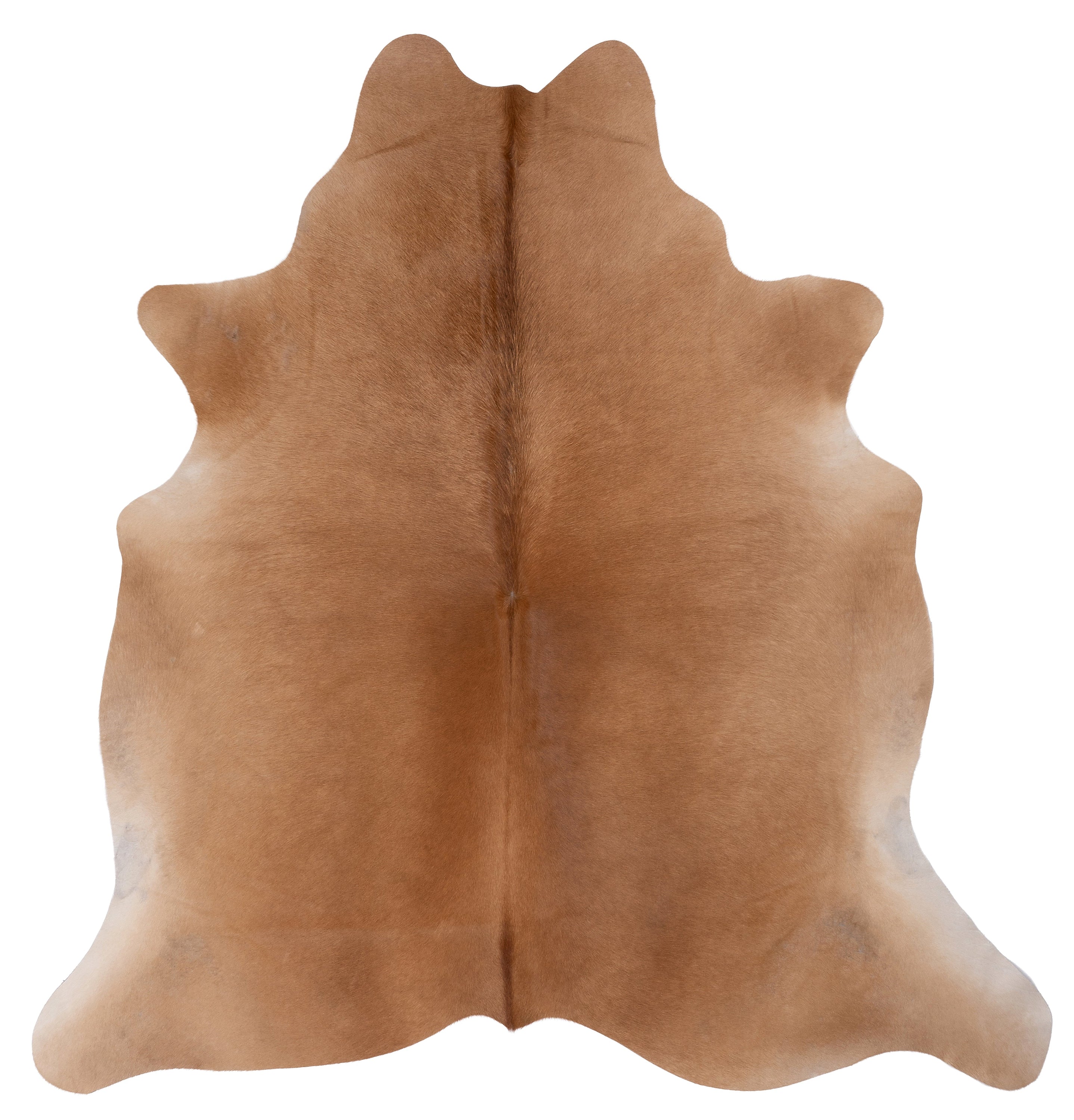 Lichtbruine koeienhuid K461 van ca. 180 x 160 cm, perfect voor interieurdecoratie.