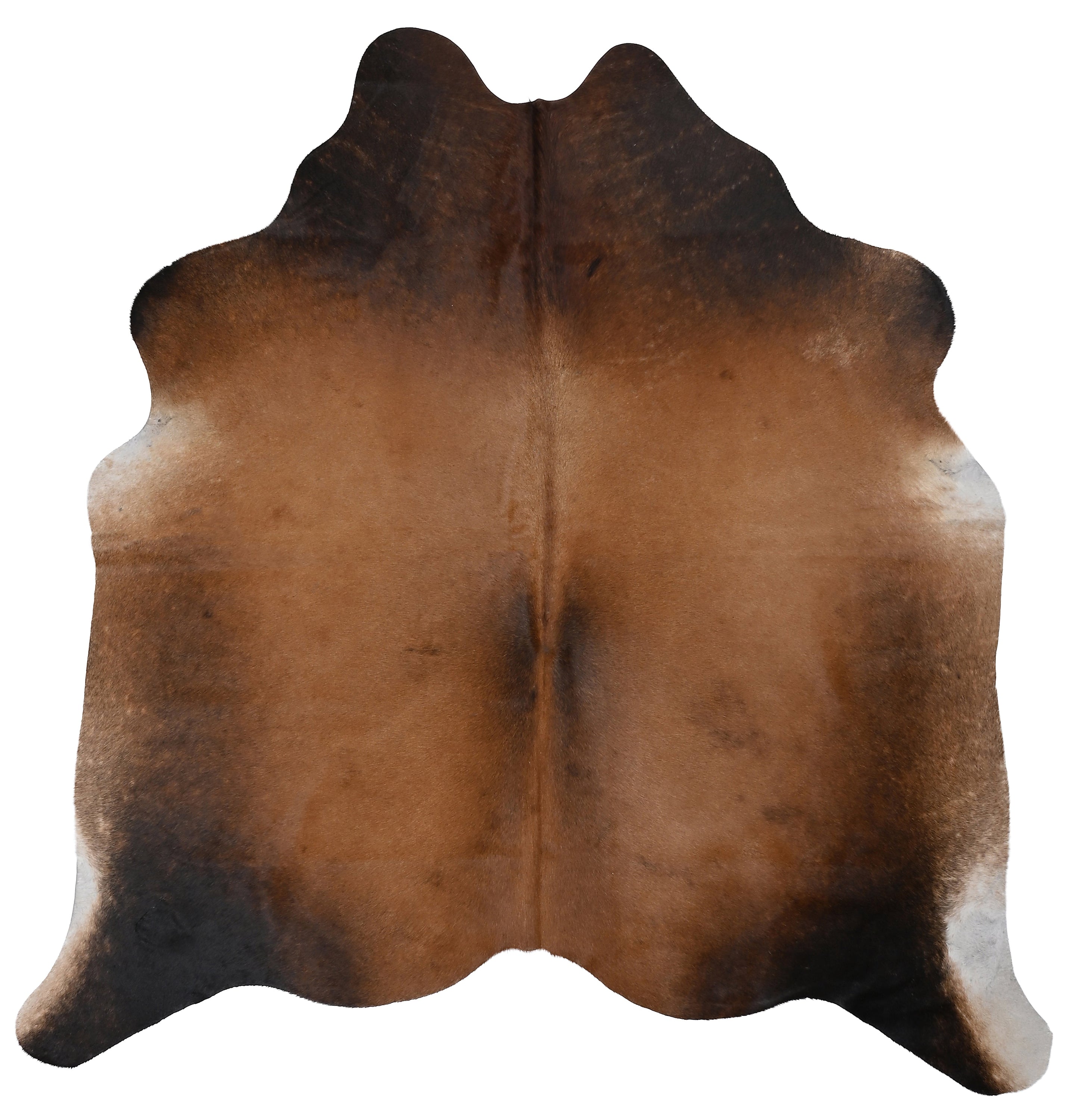 Unieke zwartbruine koeienhuid van 180 x 160 cm, perfect voor interieurdecoratie.