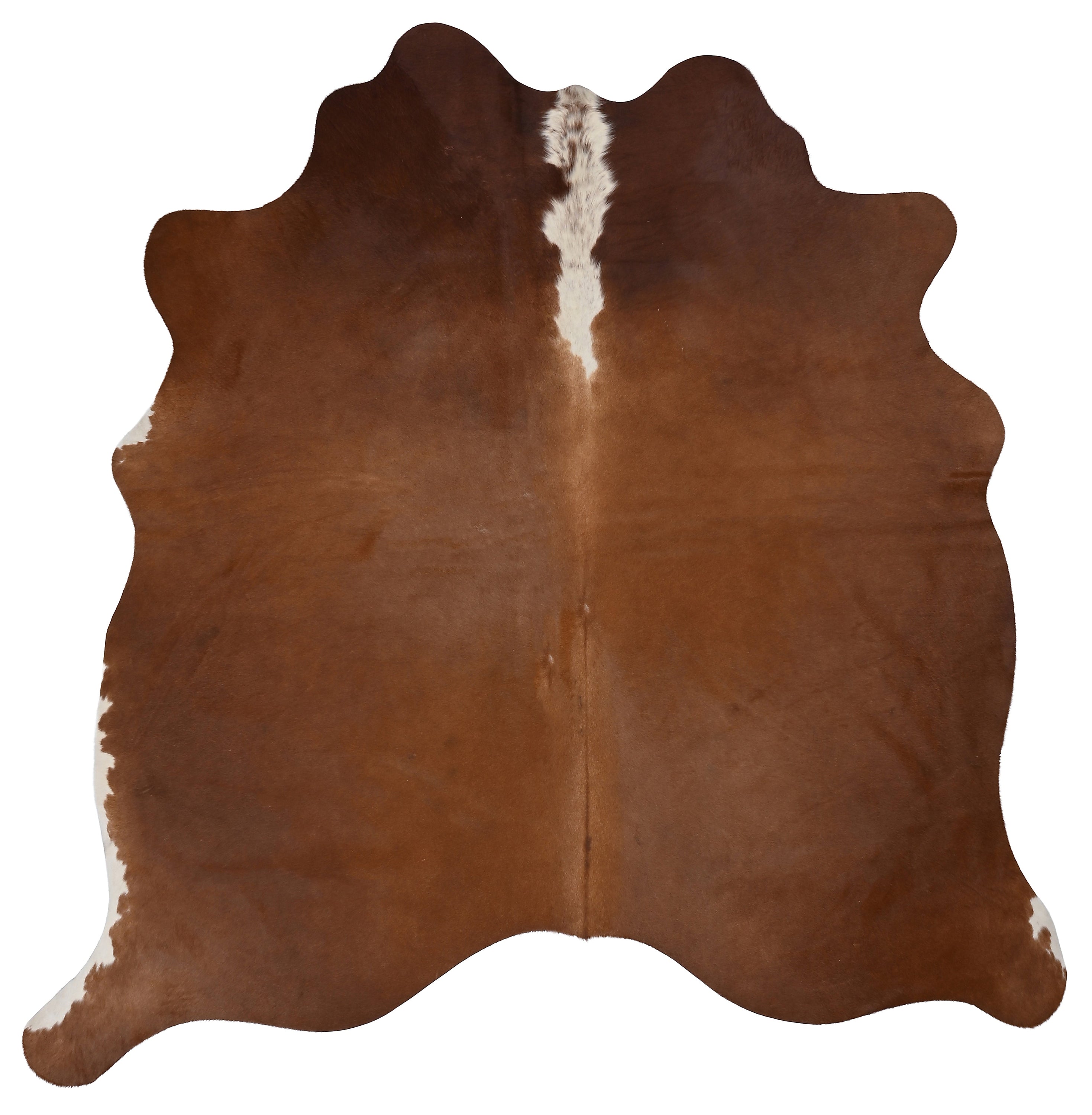 Unieke bruin koeienhuid K478 met afmetingen ca. 180 x 160 cm, perfect voor interieurdecoratie.