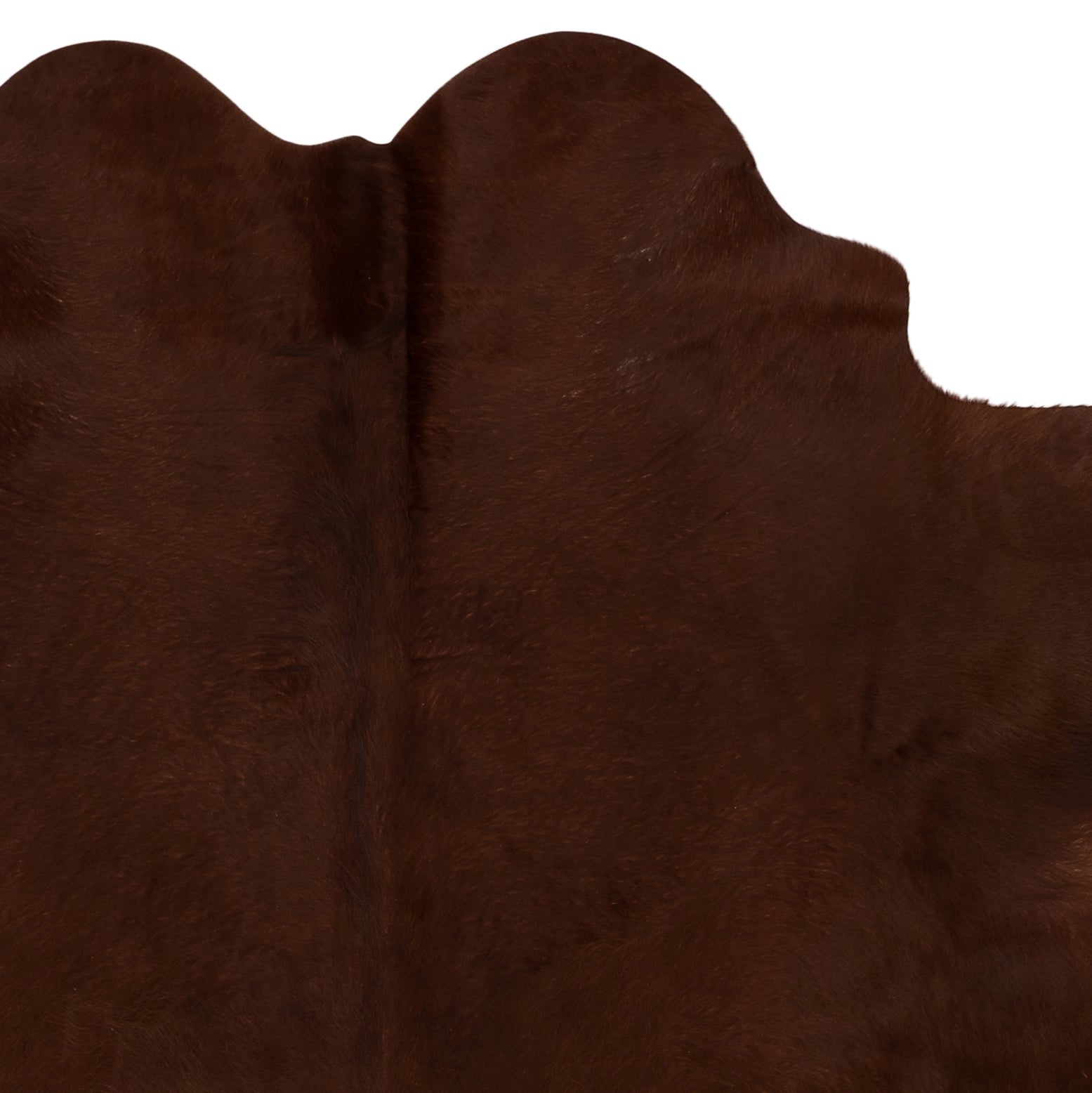 Unieke donkerbruine koeienhuid K569, met natuurlijke patronen, afmetingen ca. 180 x 160 cm, perfect voor interieurdecoratie.