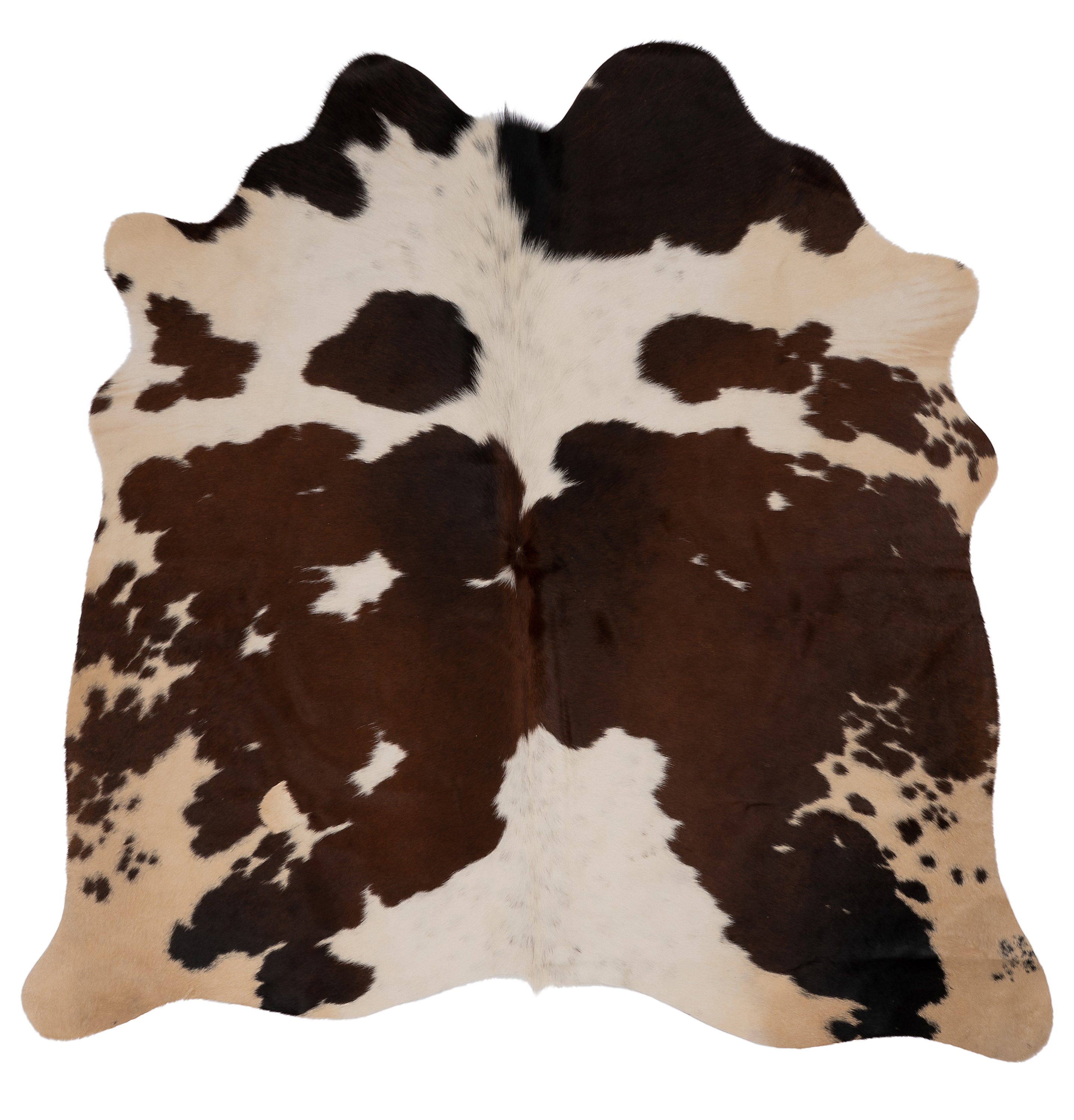 Unieke bruin-witte K570 koeienhuid van ca. 180 x 160 cm, perfect voor interieurdecoratie.