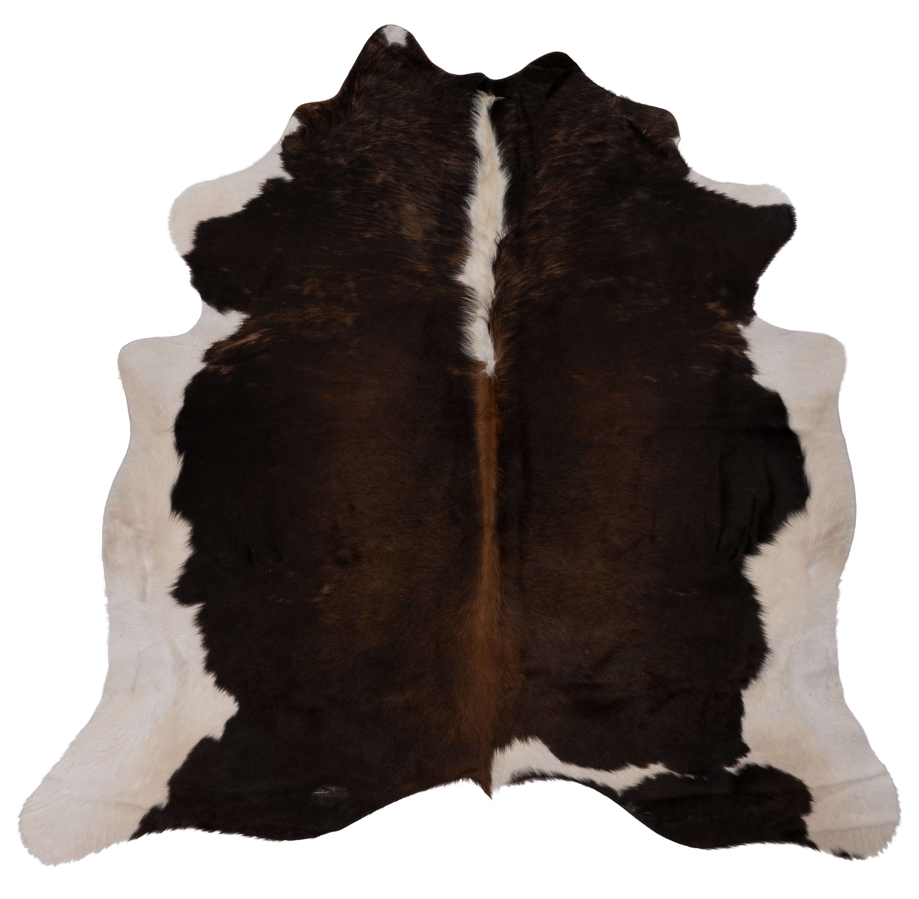 Unieke bruin-witte koeienhuid K572 van ca. 180 x 160 cm, perfect voor interieurdecoratie.