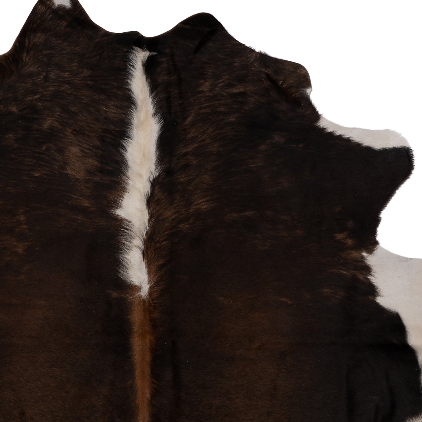 Unieke bruin-witte koeienhuid K572 van ca. 180 x 160 cm, perfect voor interieurdecoratie.