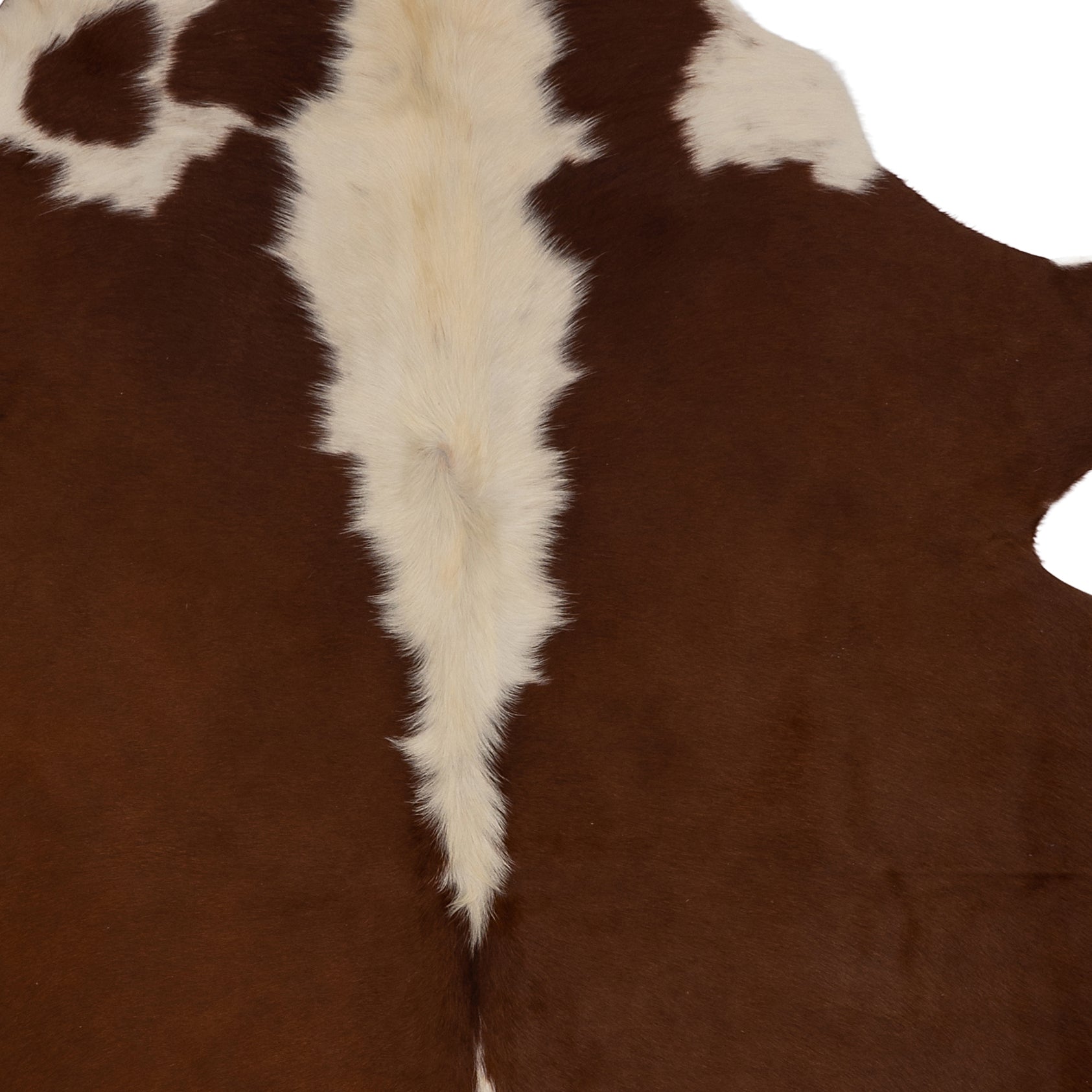 Unieke bruin-witte koeienhuid K574, met natuurlijke patronen, afmetingen ca. 180 x 160 cm, perfect voor interieurdecoratie.